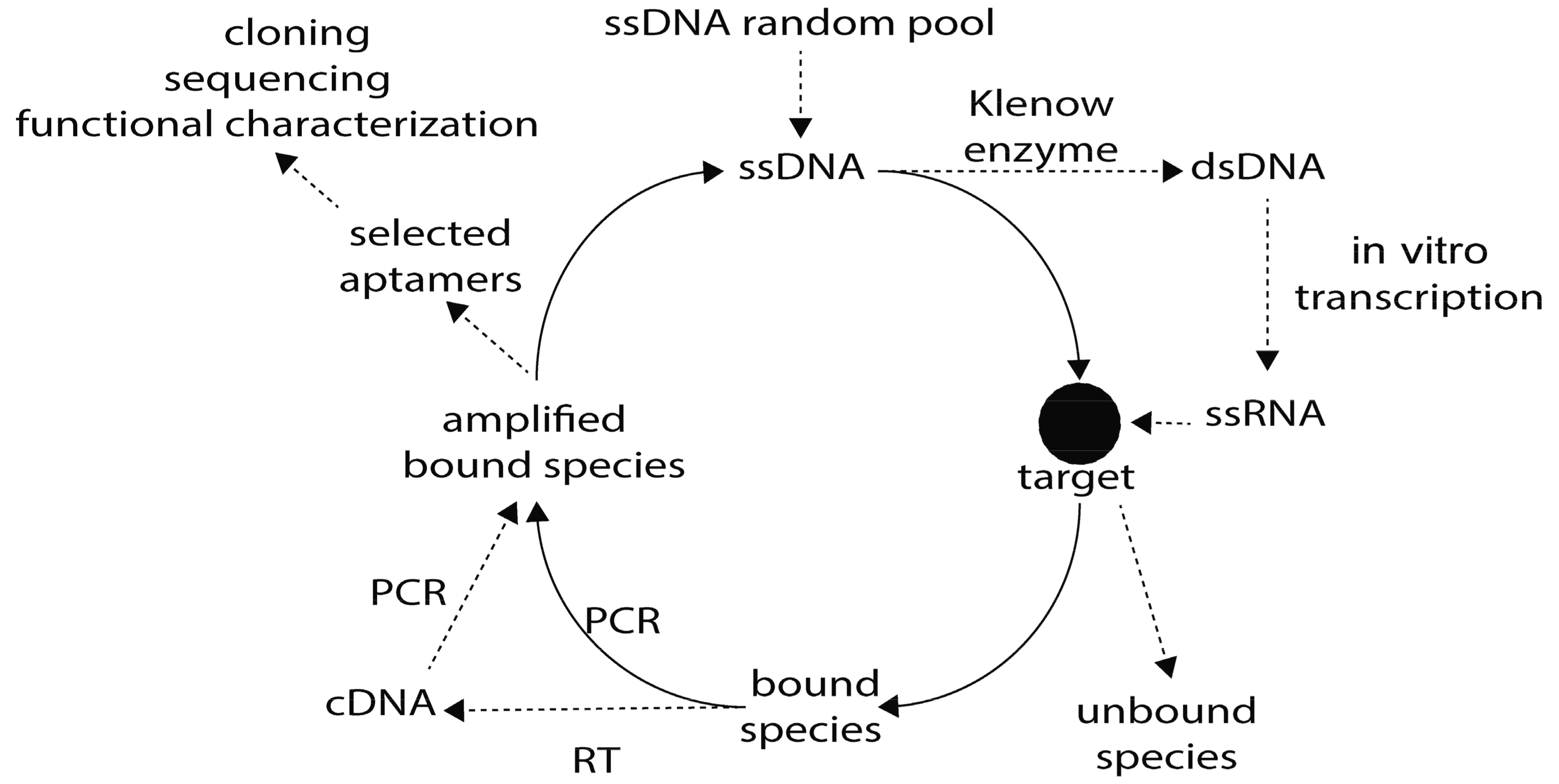 Genes 09 00584 g001 Genes 09 00584 g001