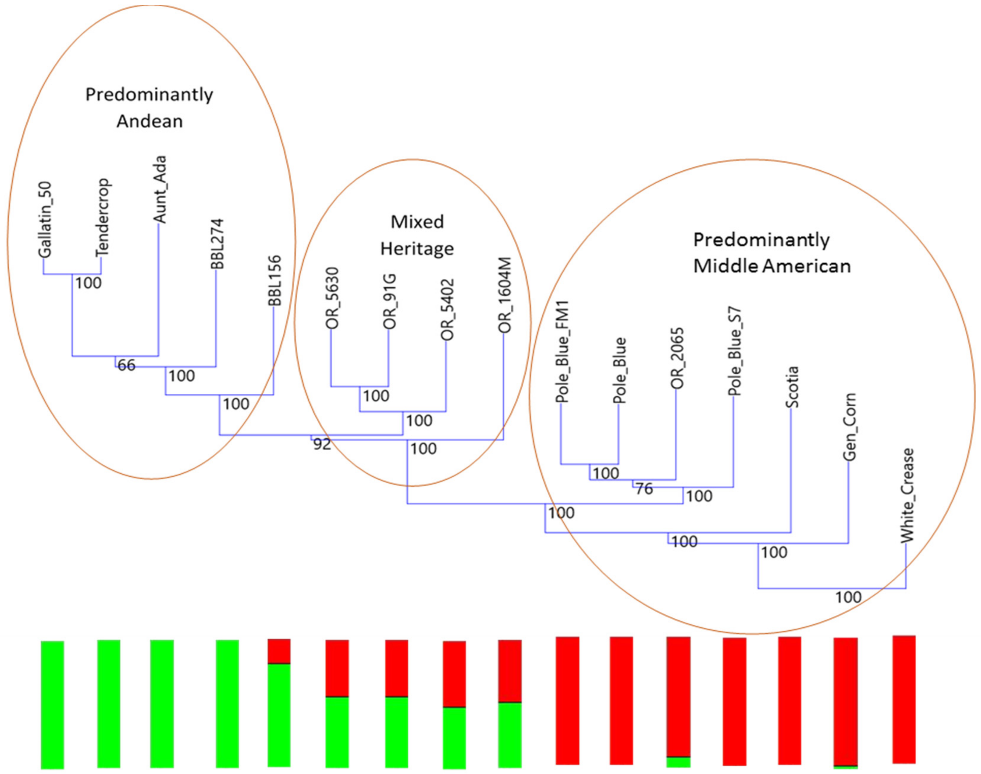 Genes 09 00587 g002