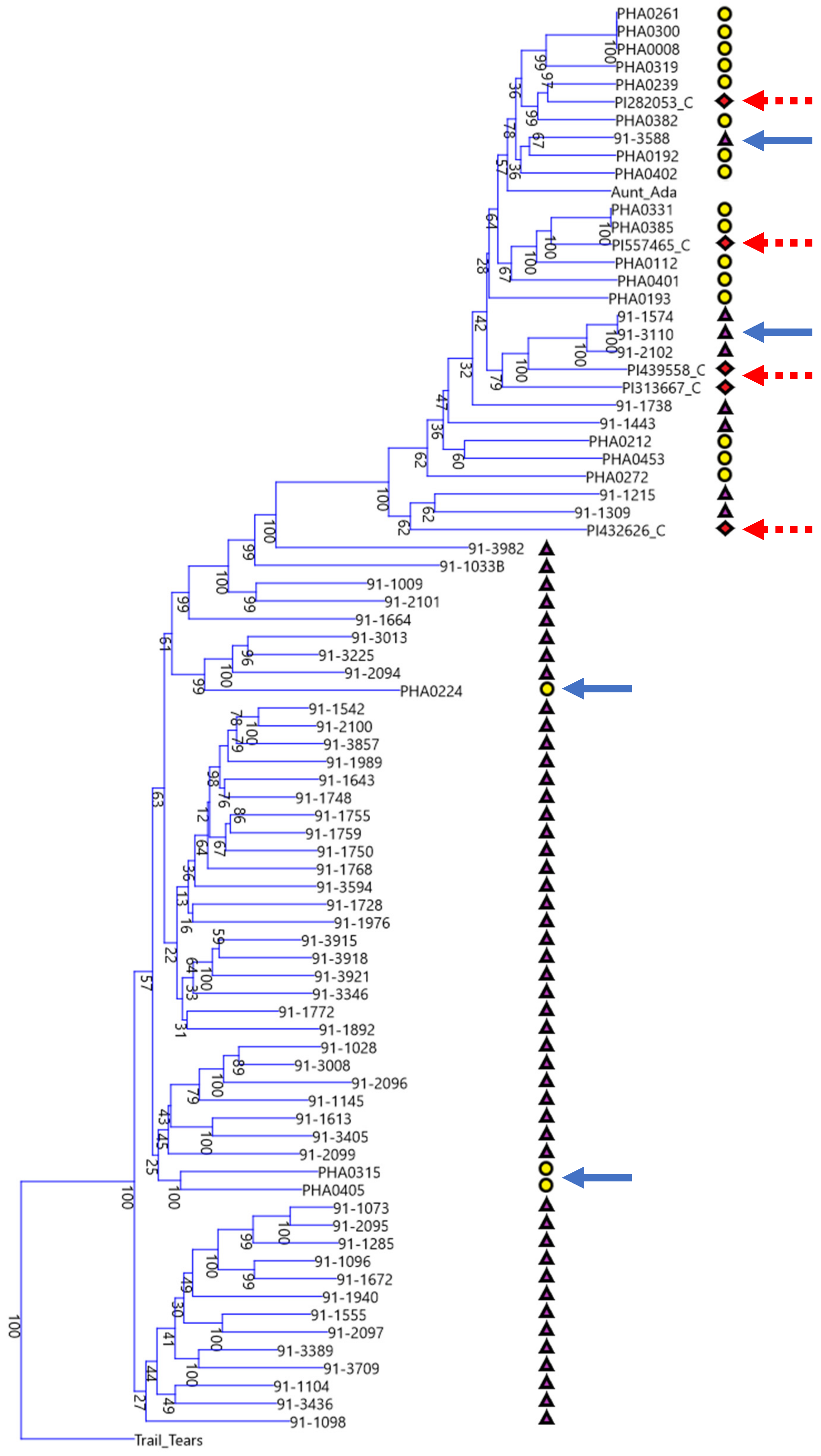 Genes 09 00587 g003