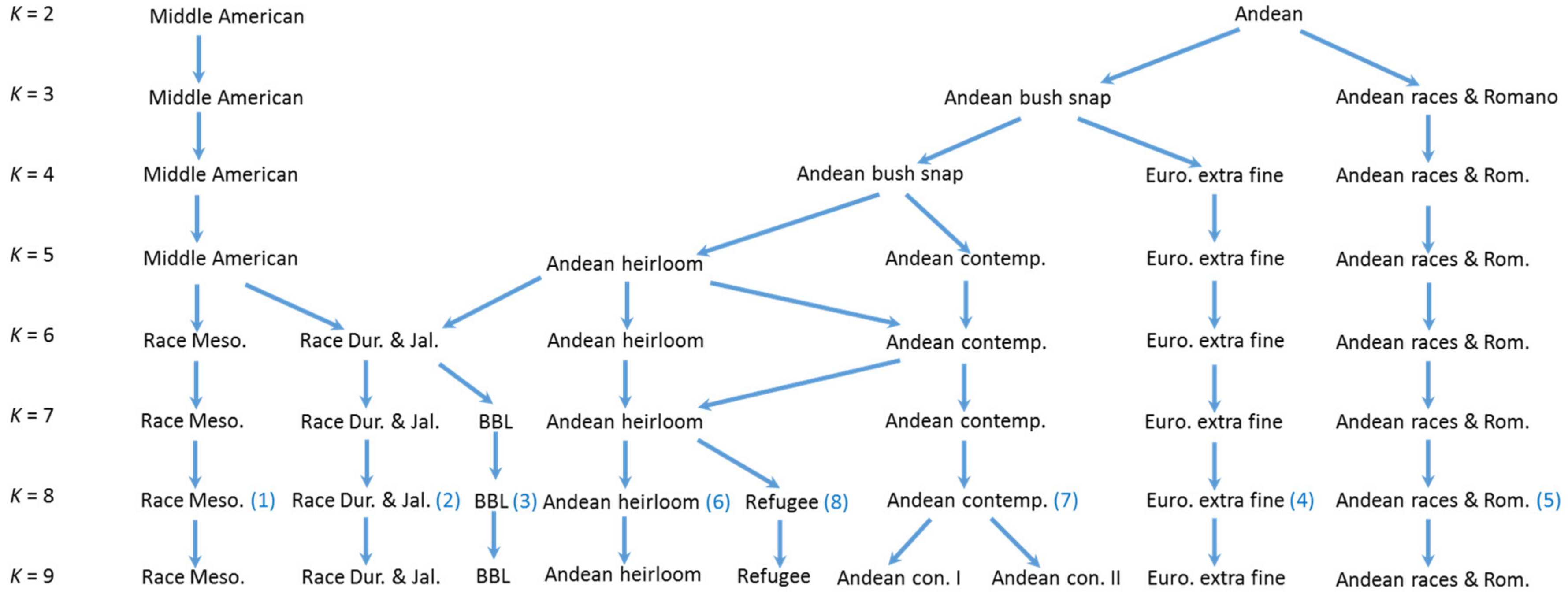 Genes 09 00587 g007