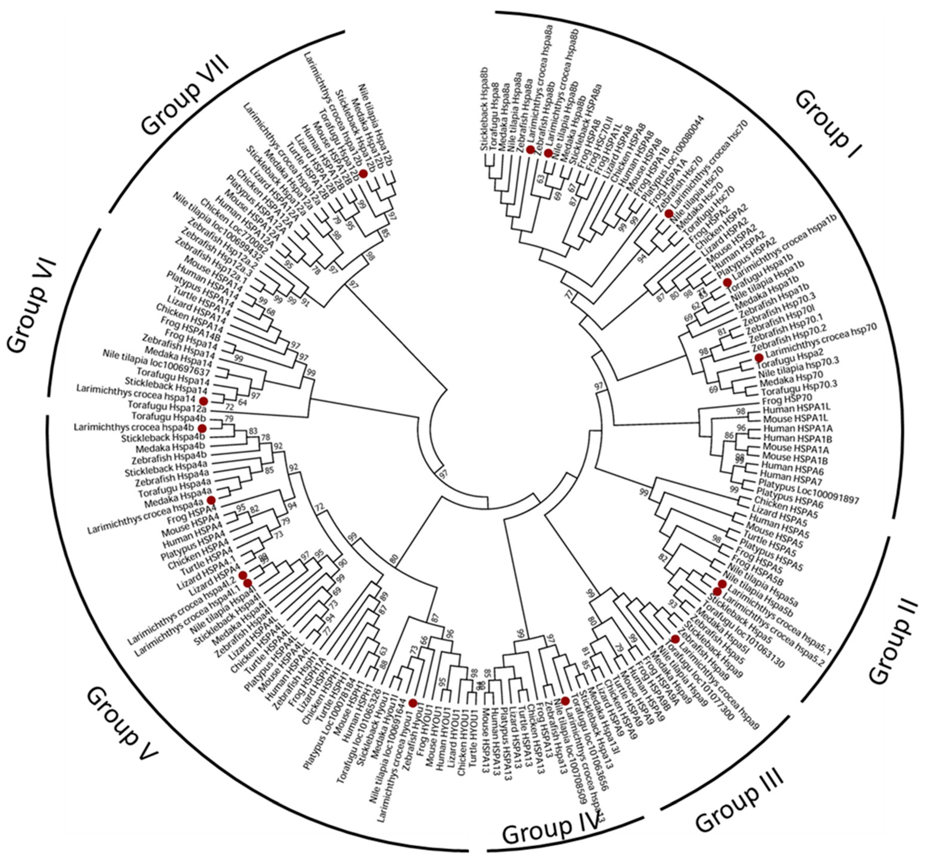 Genes 09 00590 g001 Genes 09 00590 g001