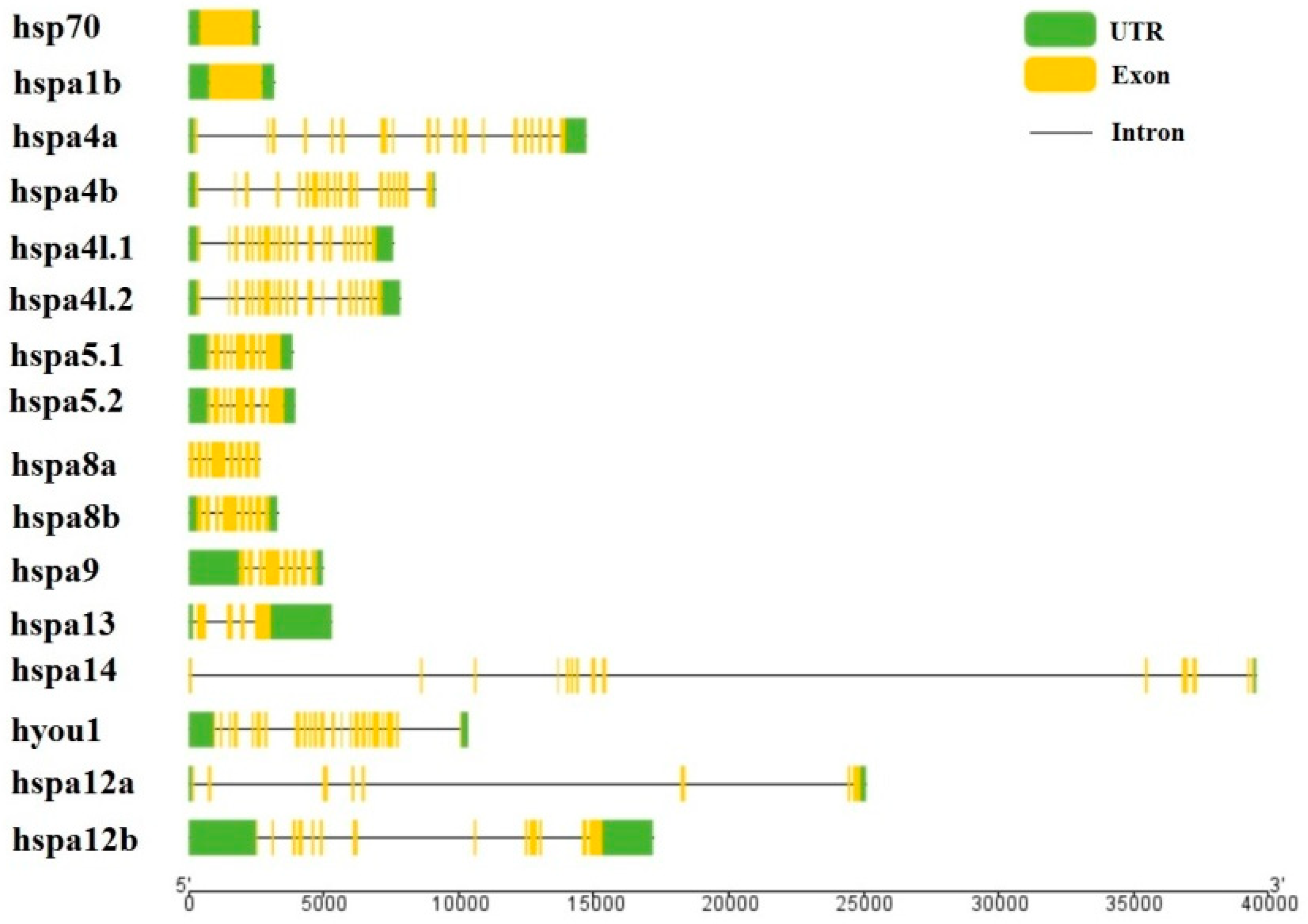 Genes 09 00590 g002 Genes 09 00590 g002