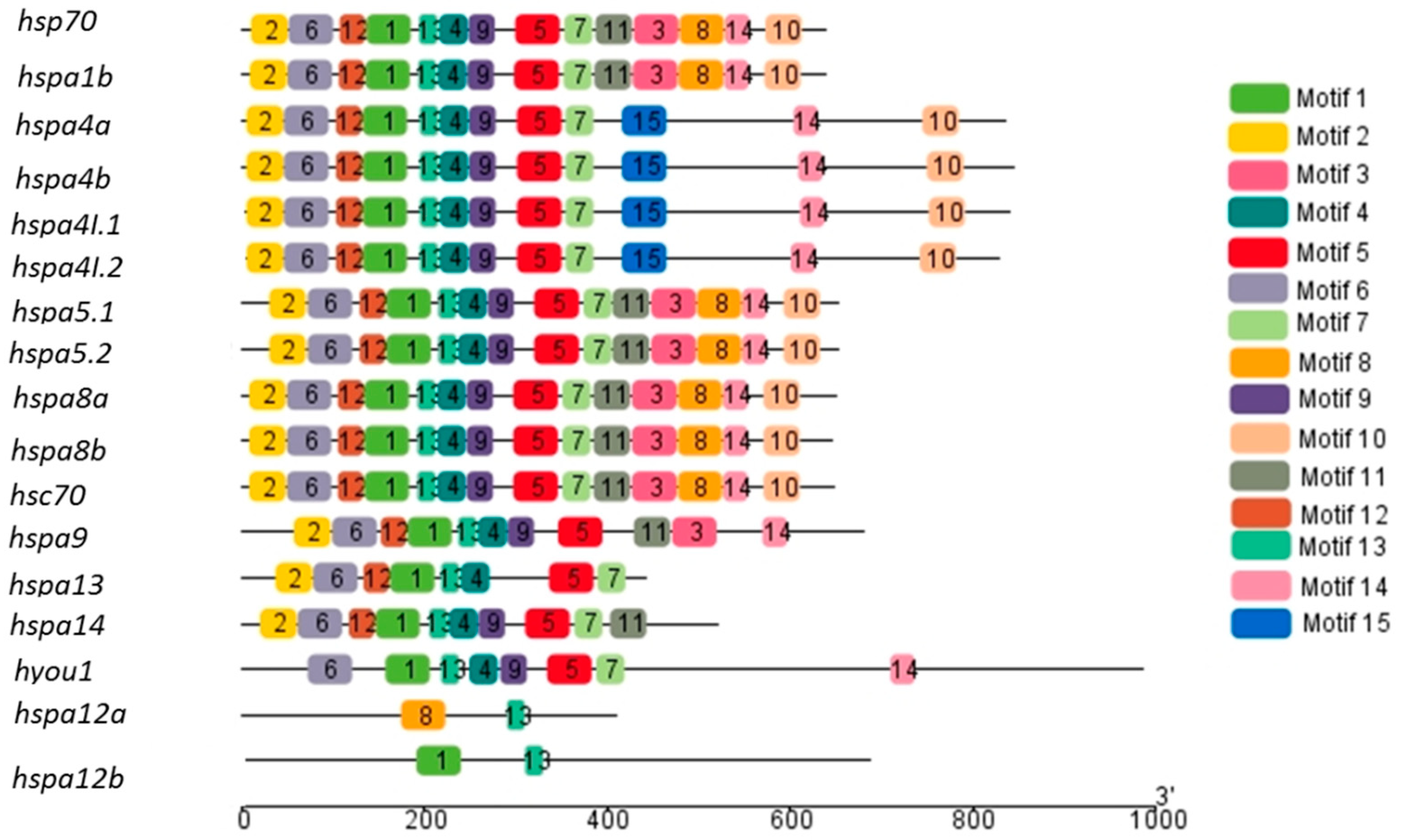 Genes 09 00590 g003 Genes 09 00590 g003