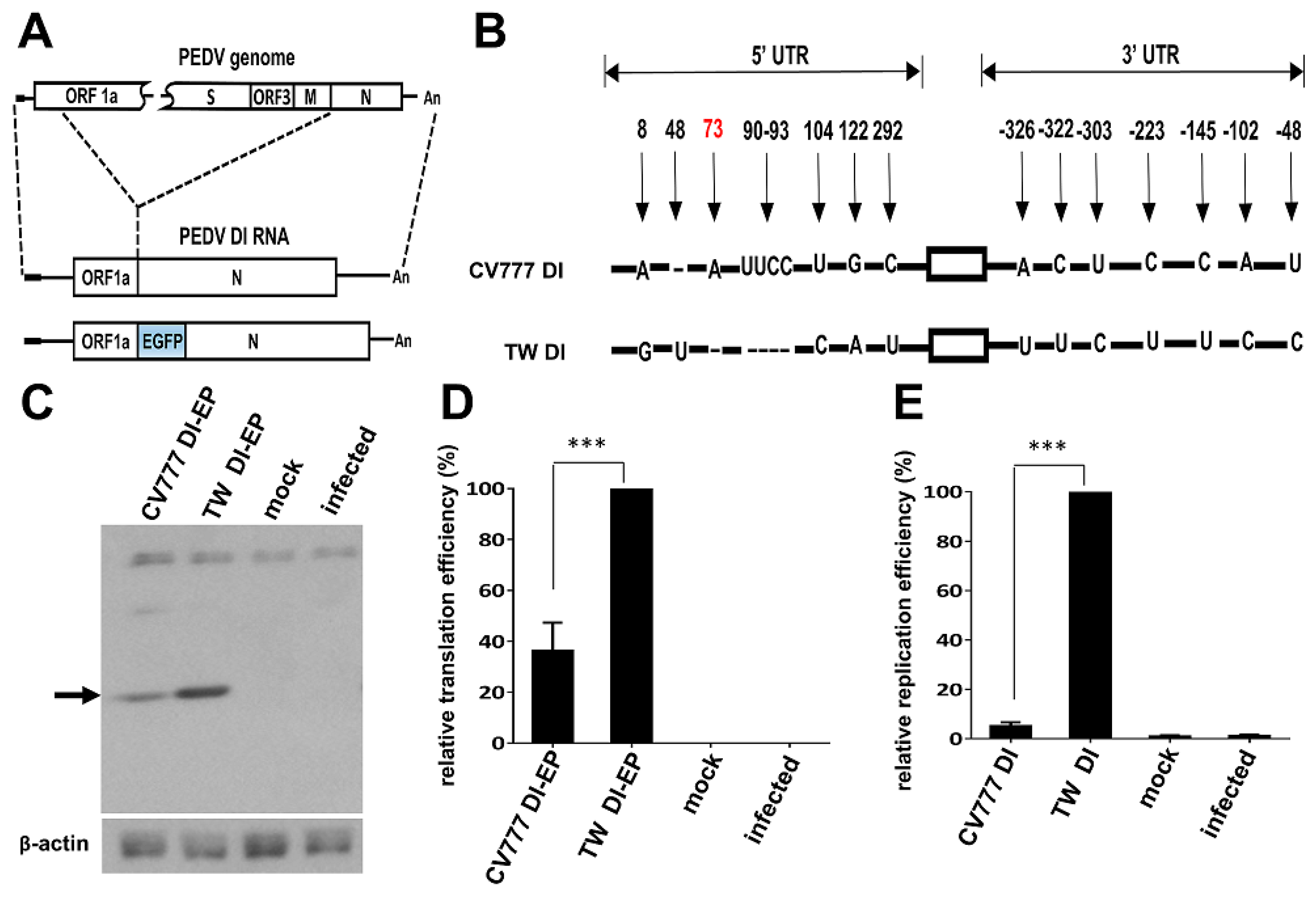 Genes 09 00591 g004 Genes 09 00591 g004