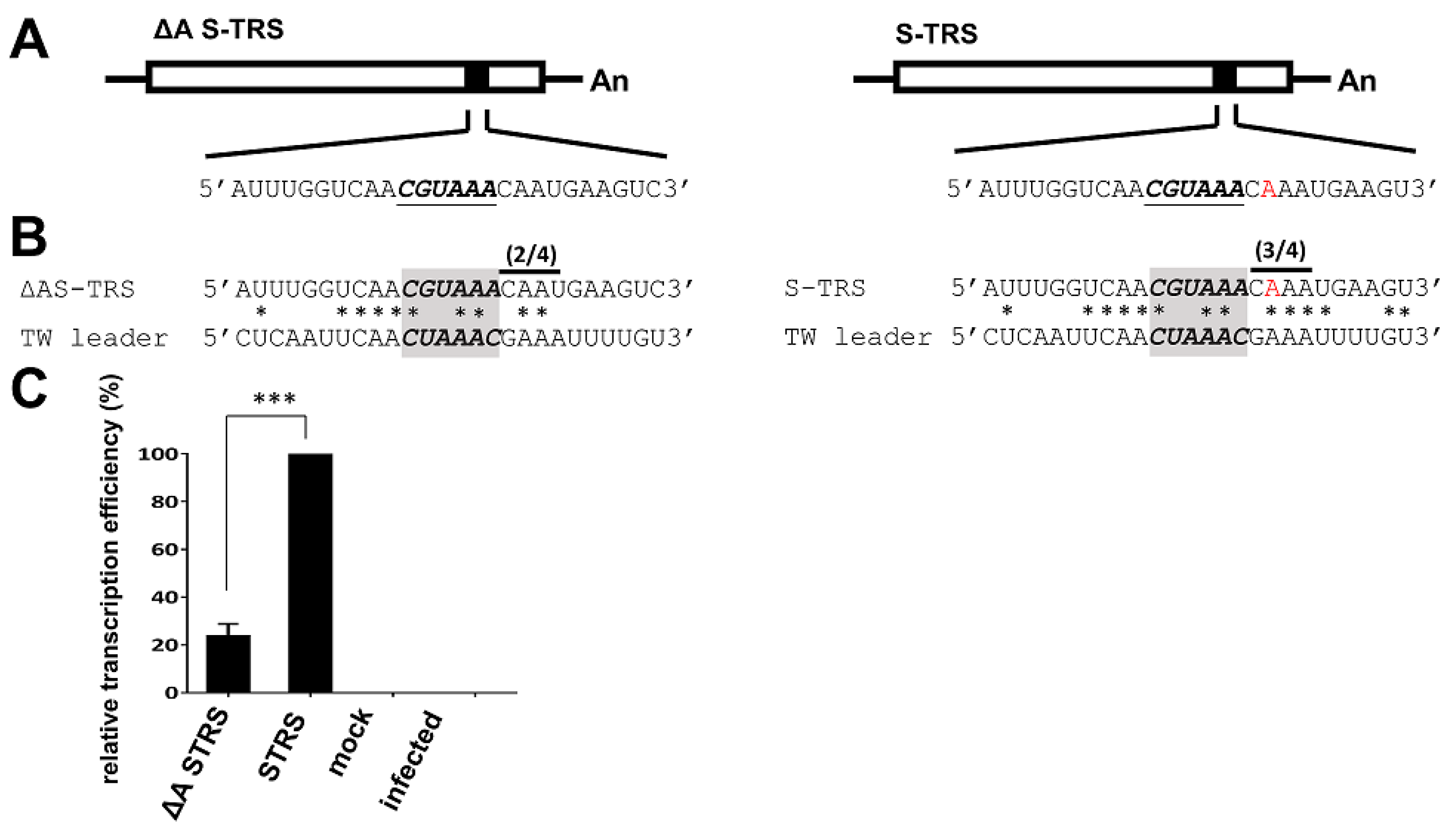 Genes 09 00591 g006 Genes 09 00591 g006