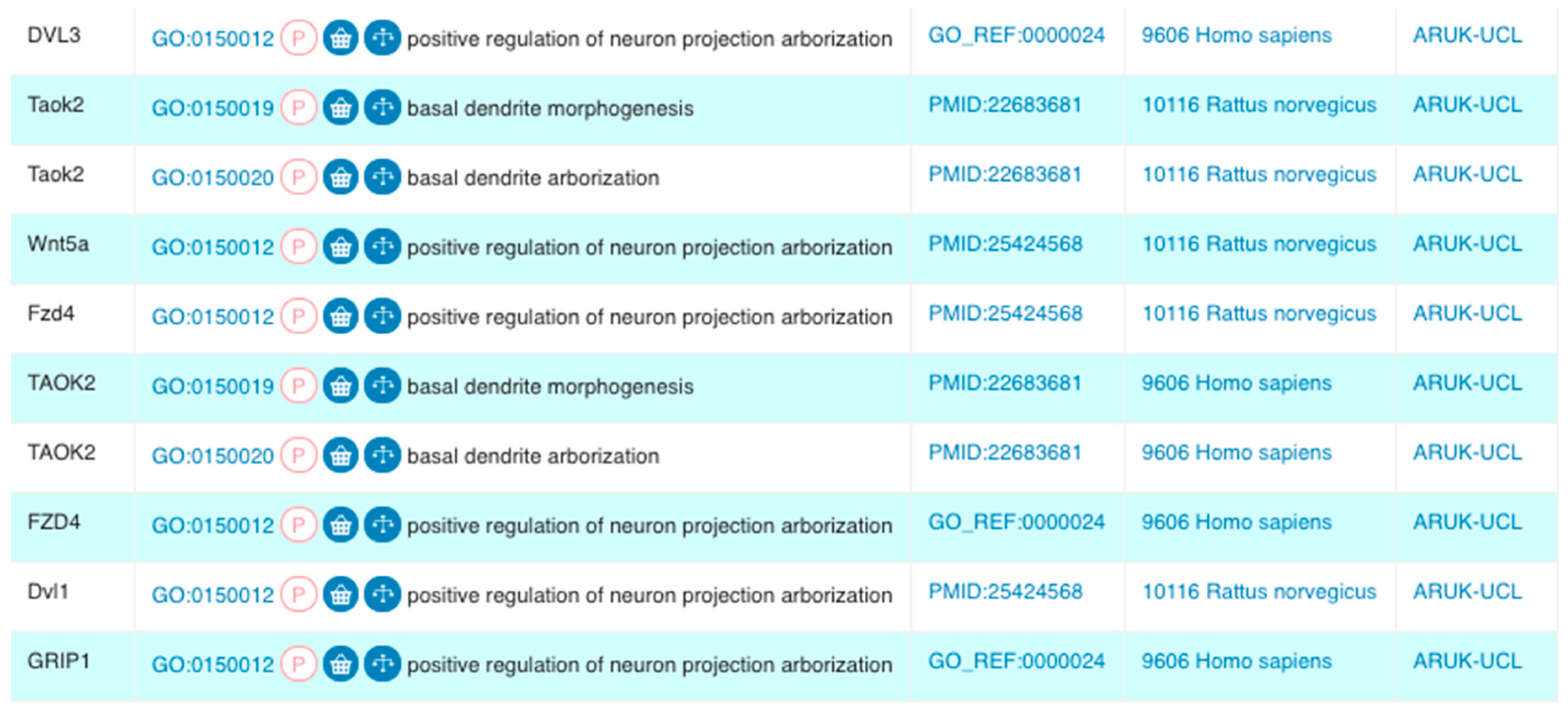 Genes 09 00593 g001b Genes 09 00593 g001b