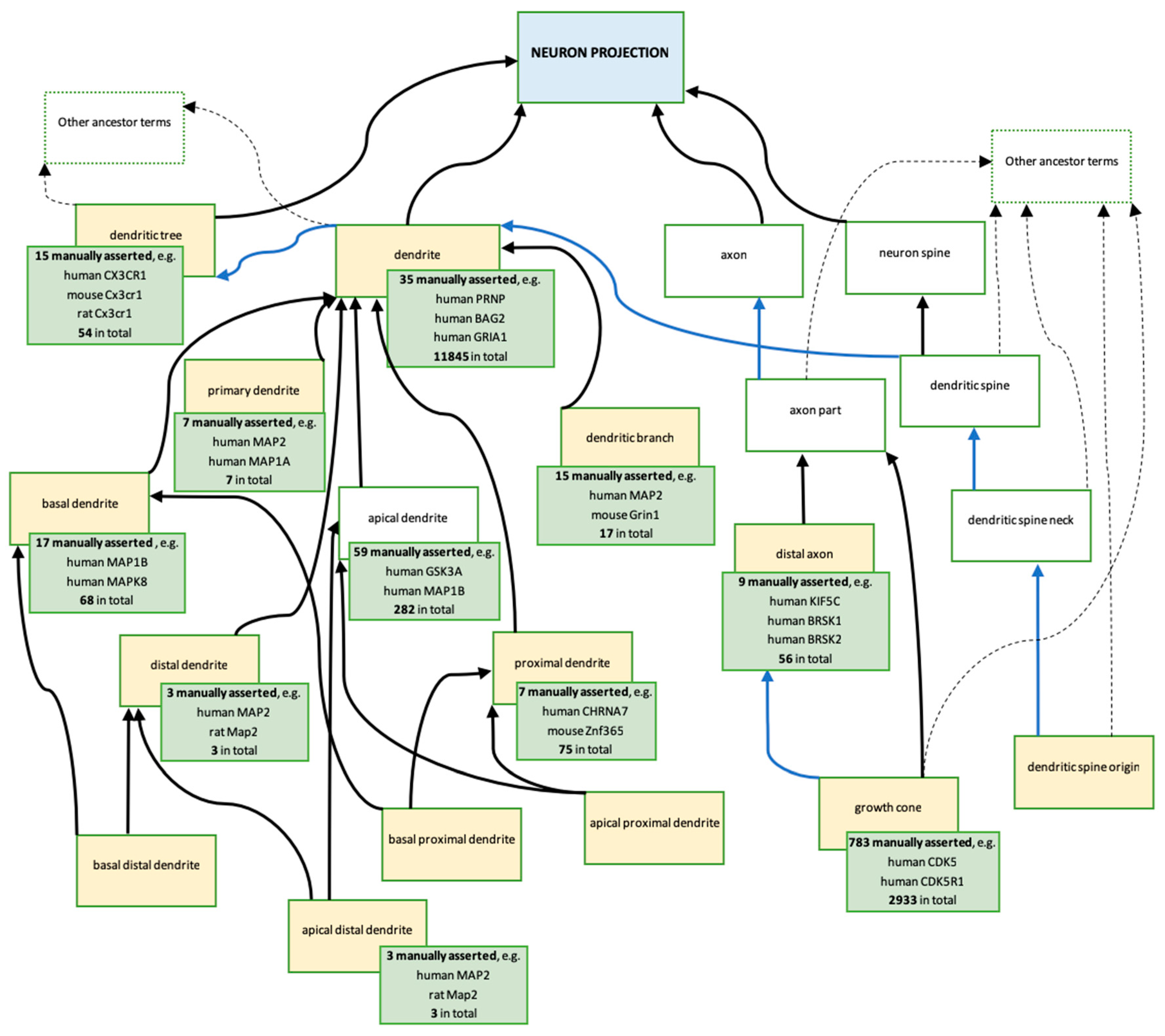 Genes 09 00593 g005 Genes 09 00593 g005