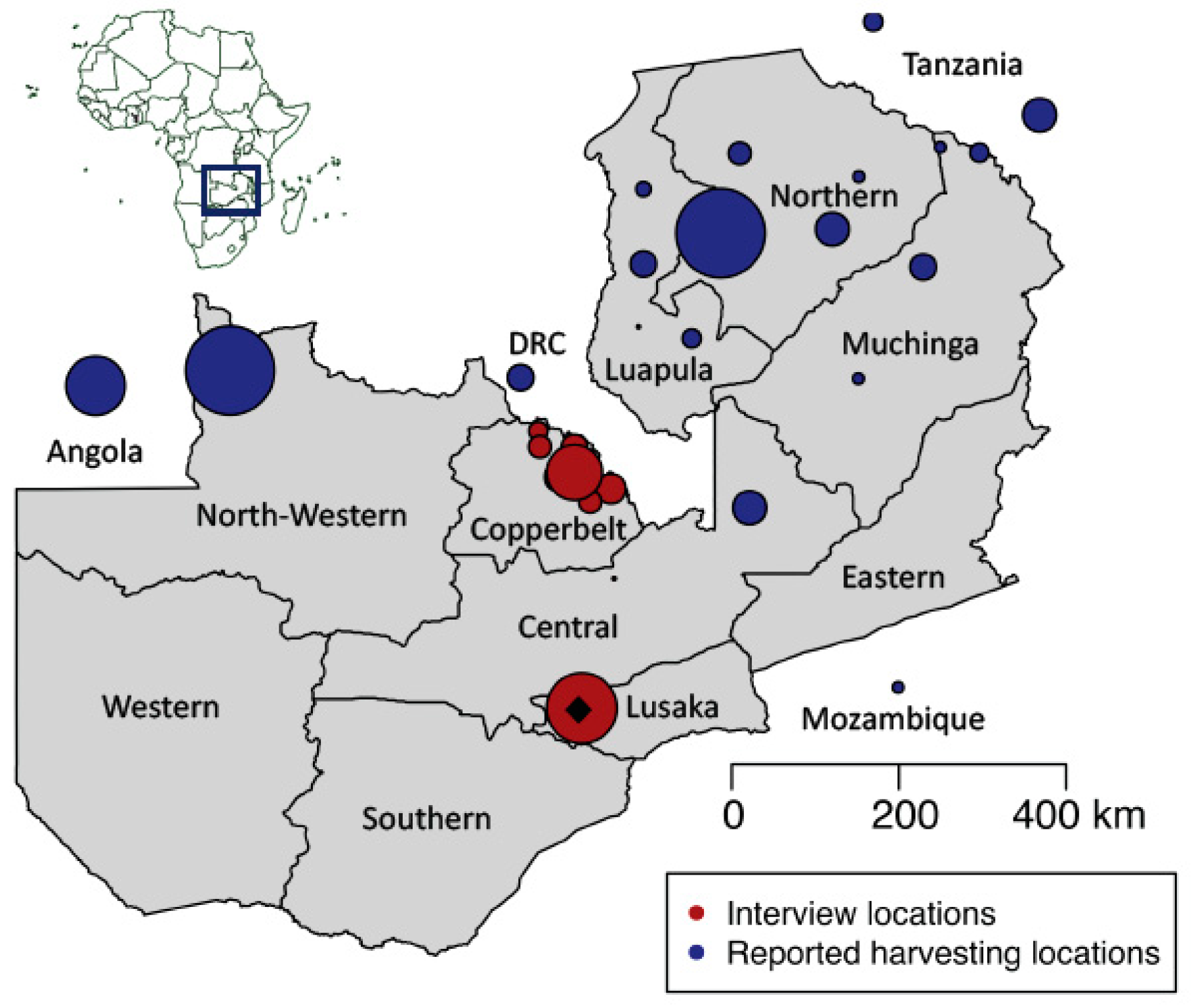 Genes 09 00595 g001