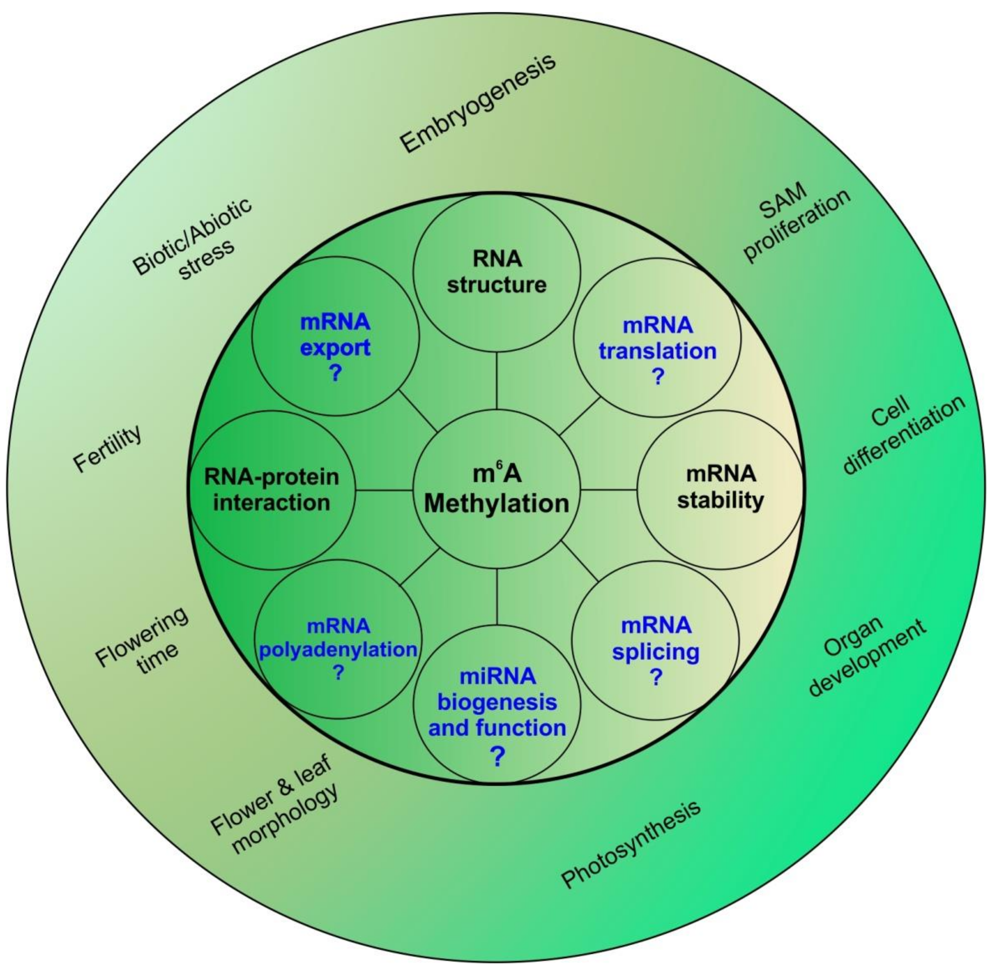 Genes 09 00596 g003