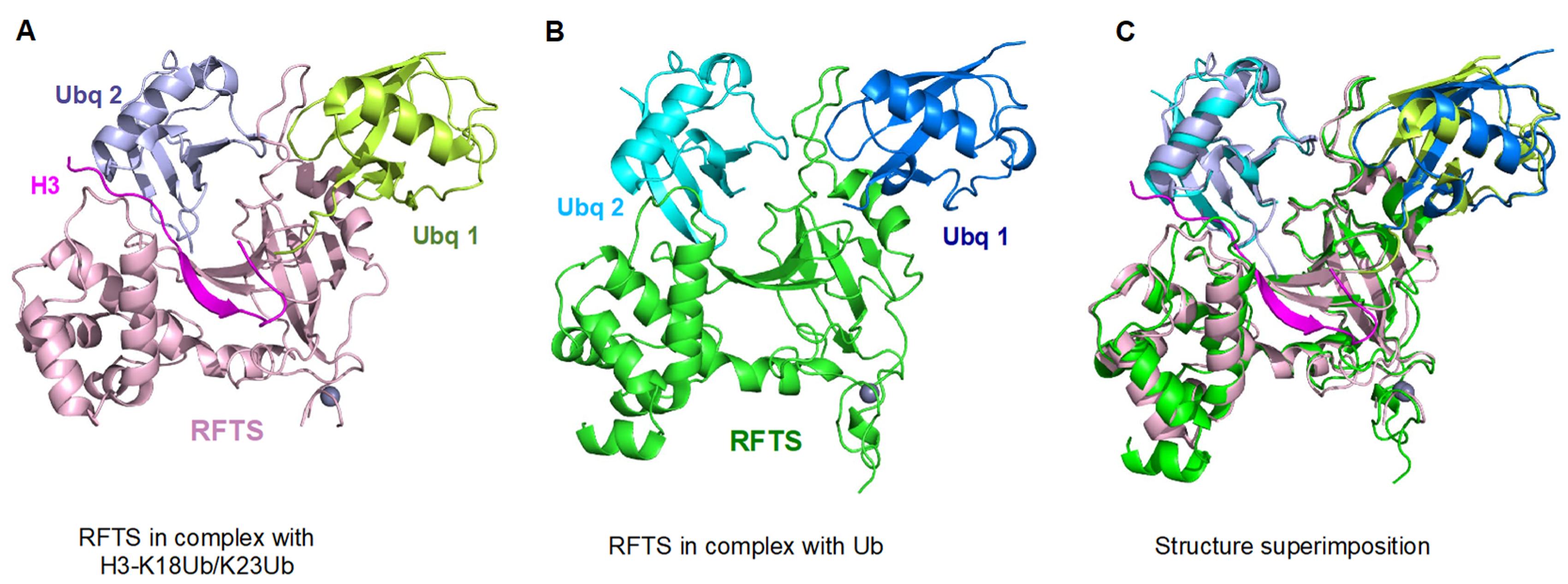 Genes 09 00600 g003 Genes 09 00600 g003