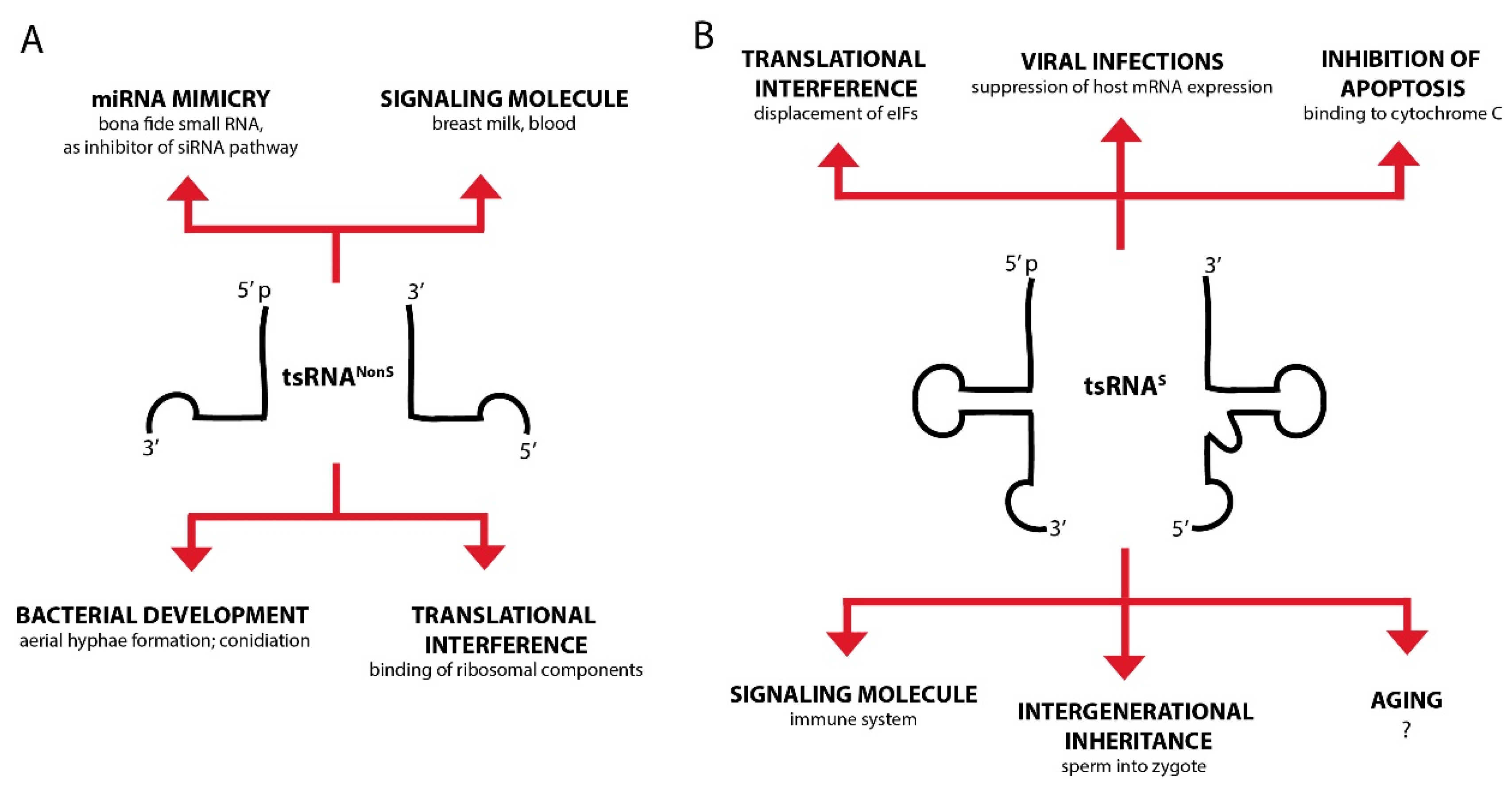 Genes 09 00607 g003