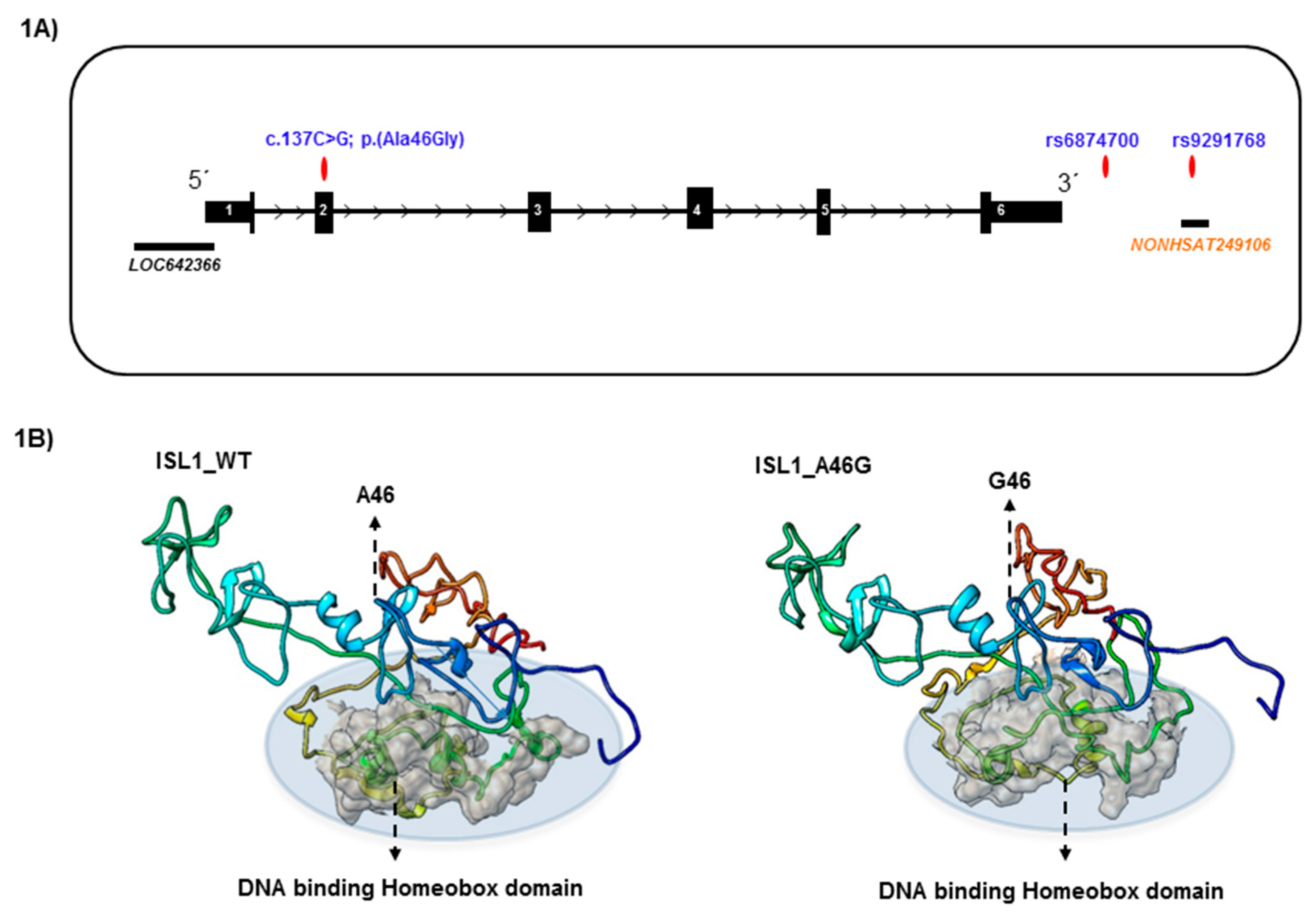 Genes 09 00609 g001 Genes 09 00609 g001