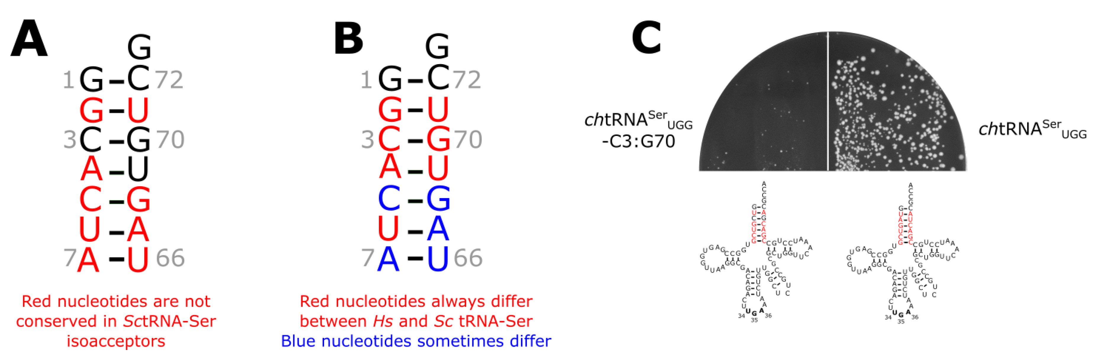 Genes 09 00612 g004