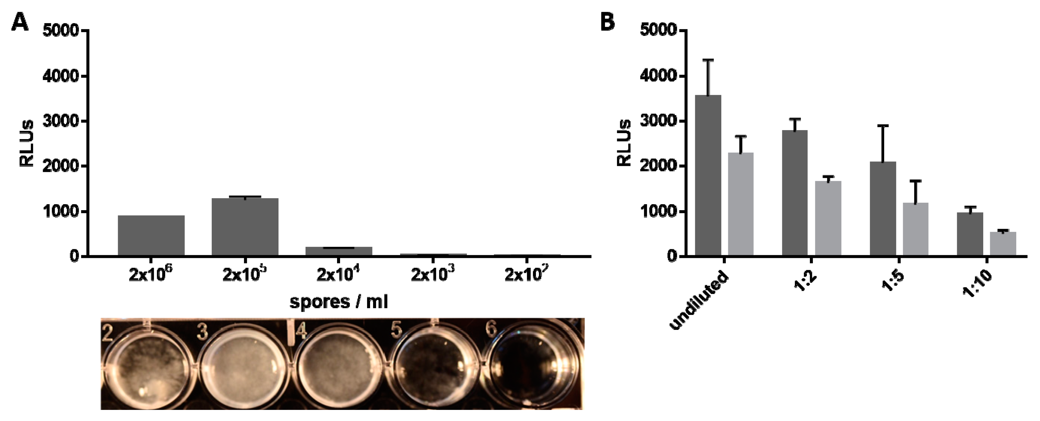 Genes 09 00613 g002 Genes 09 00613 g002