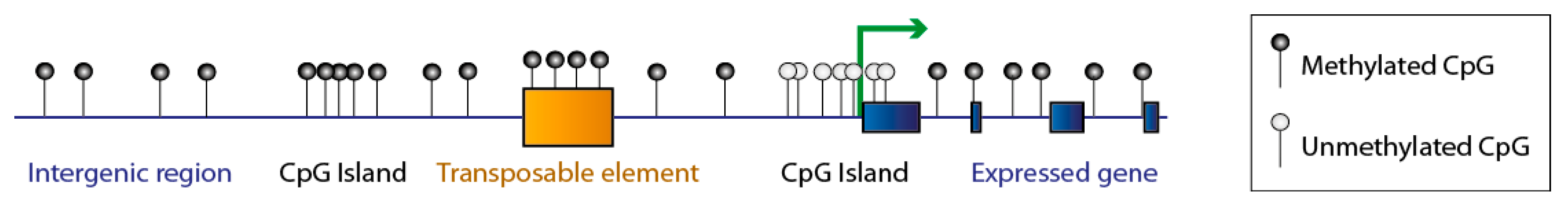 Genes 09 00617 g001