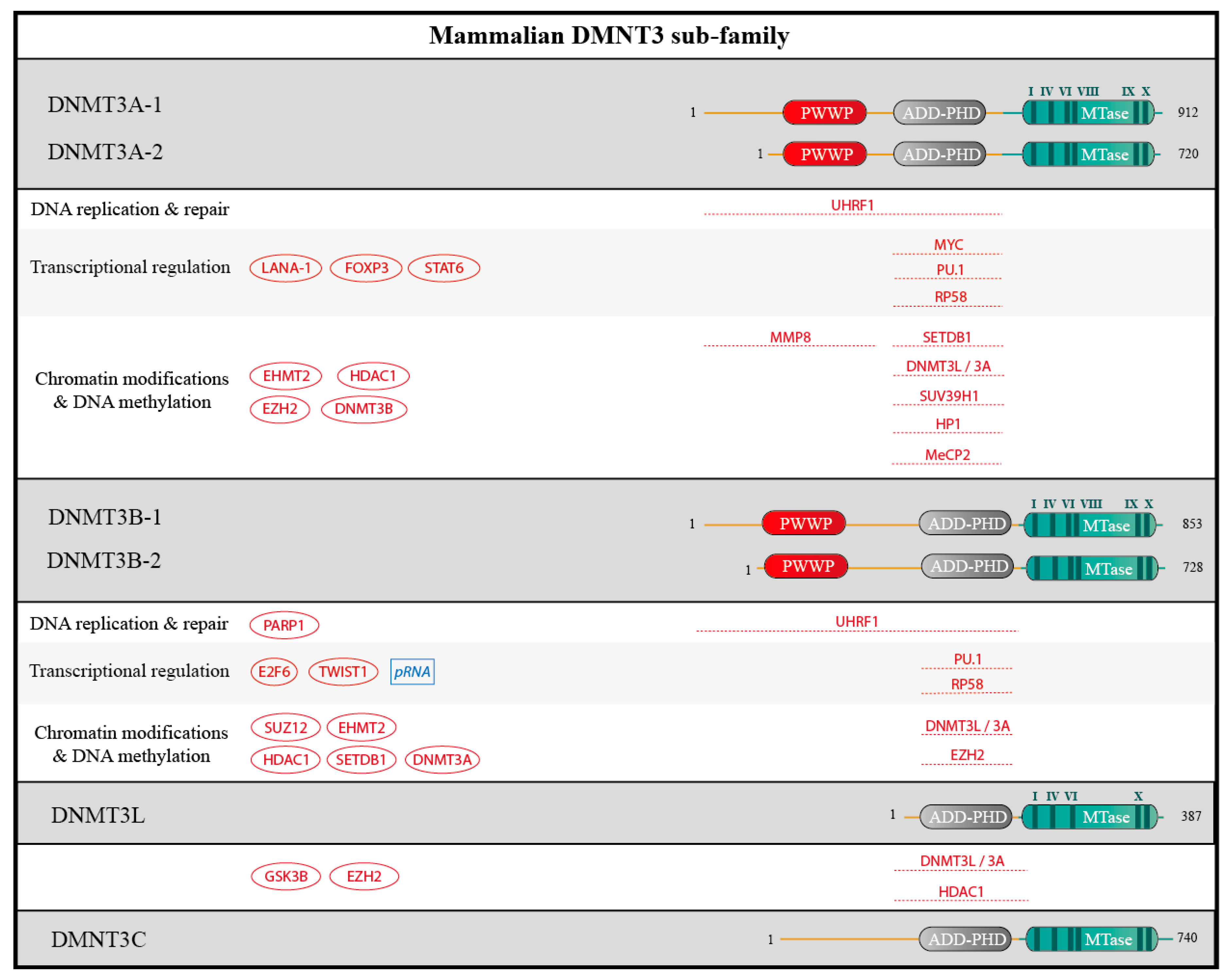 Genes 09 00617 g005