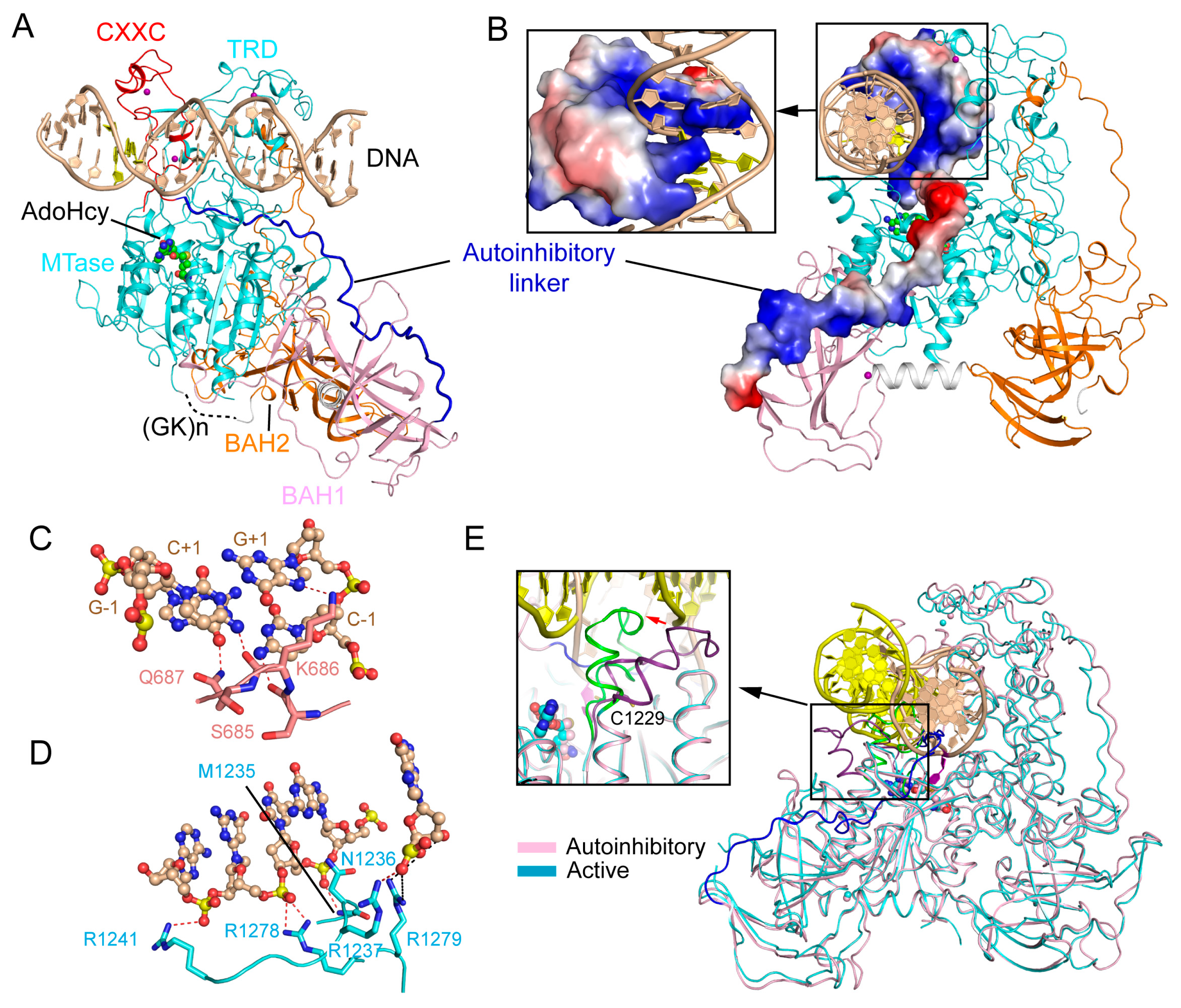 Genes 09 00620 g003