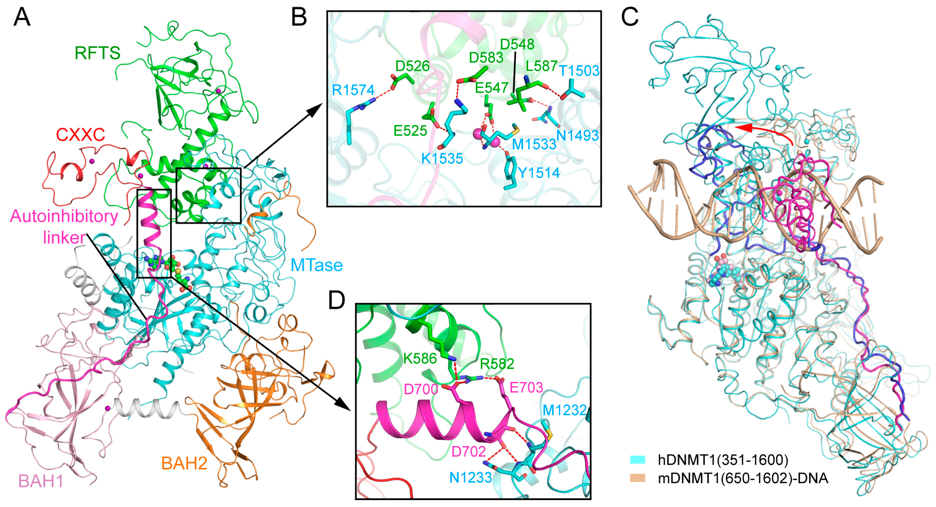 Genes 09 00620 g004