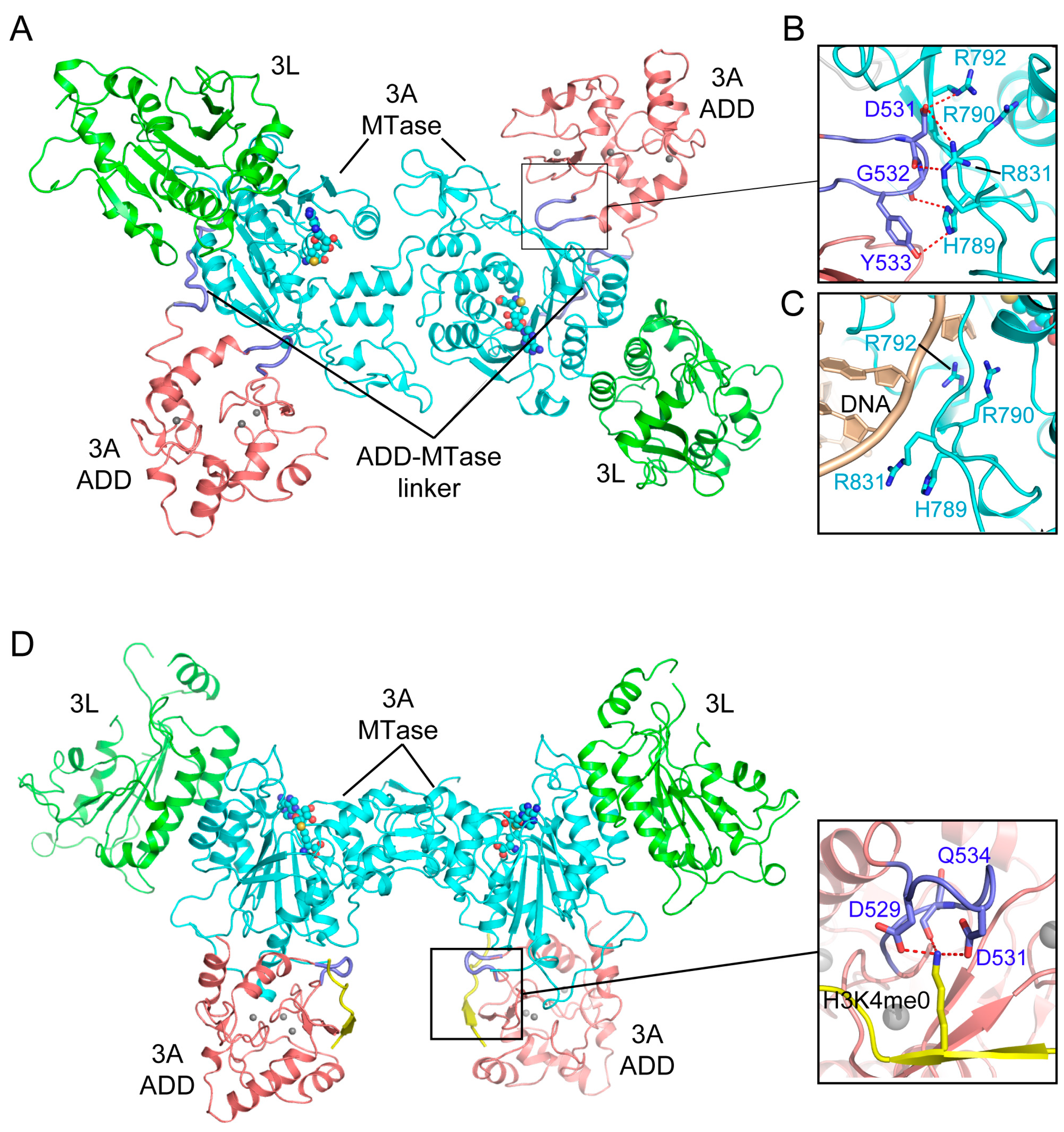Genes 09 00620 g007