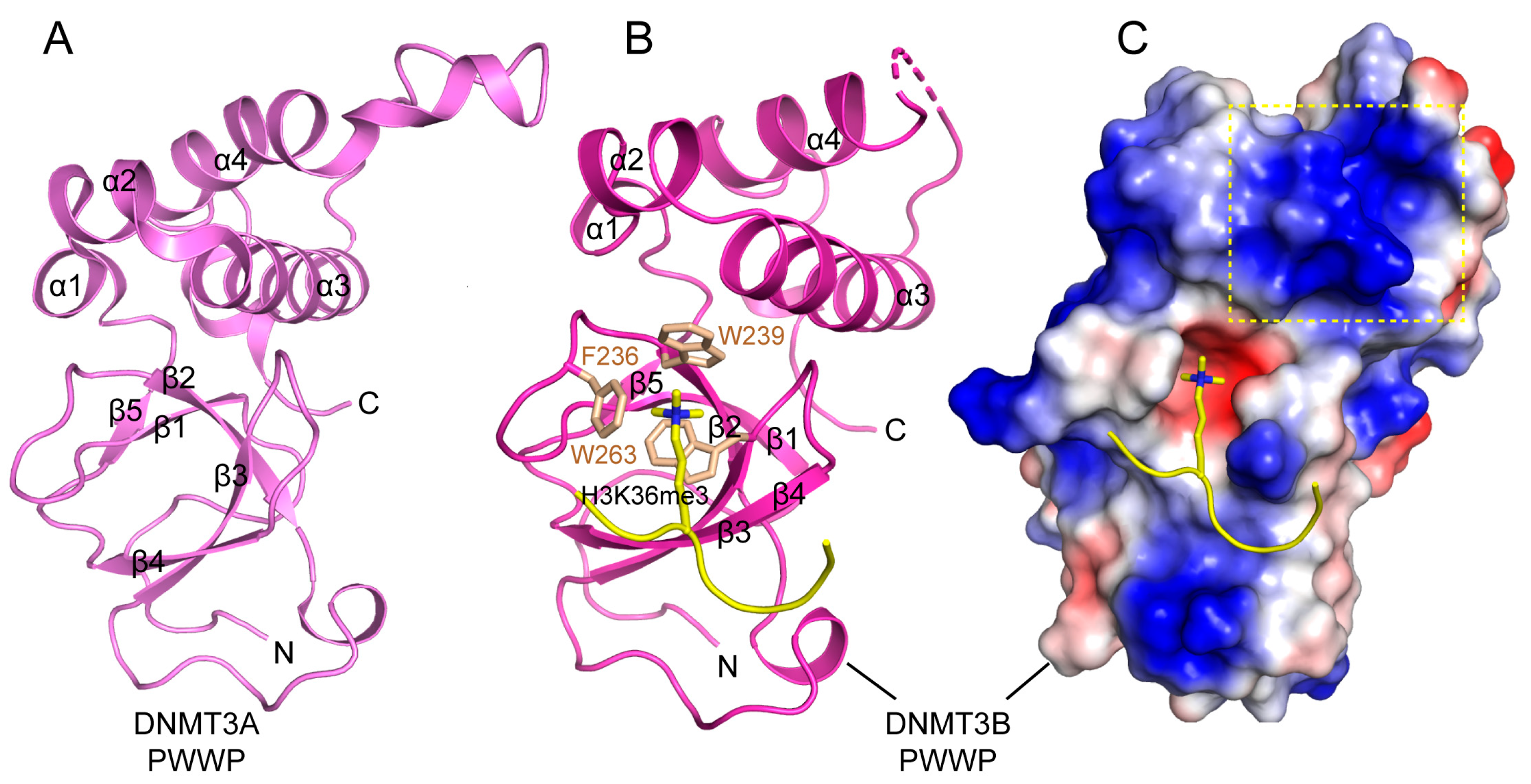 Genes 09 00620 g008