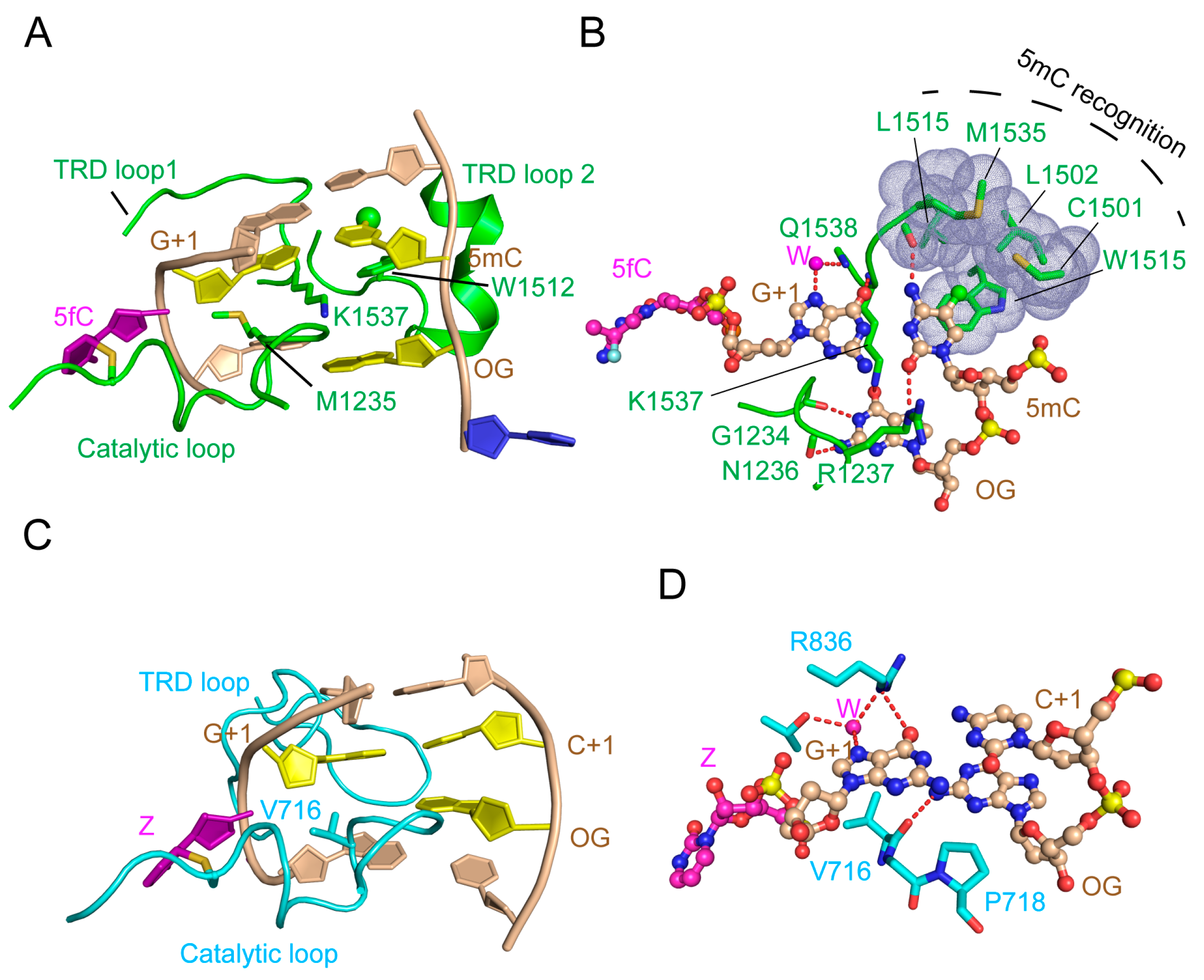 Genes 09 00620 g009