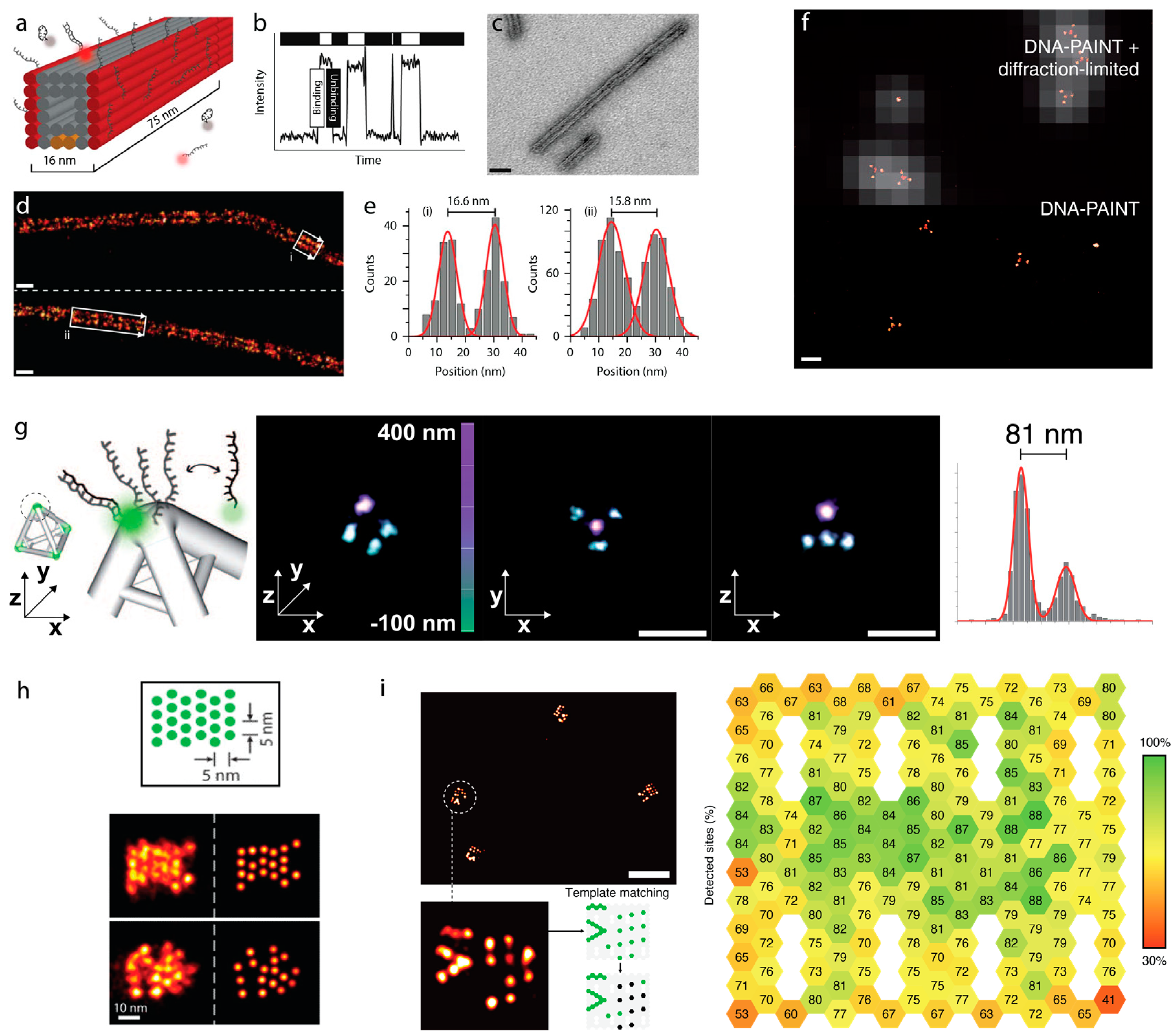 Genes 09 00621 g003