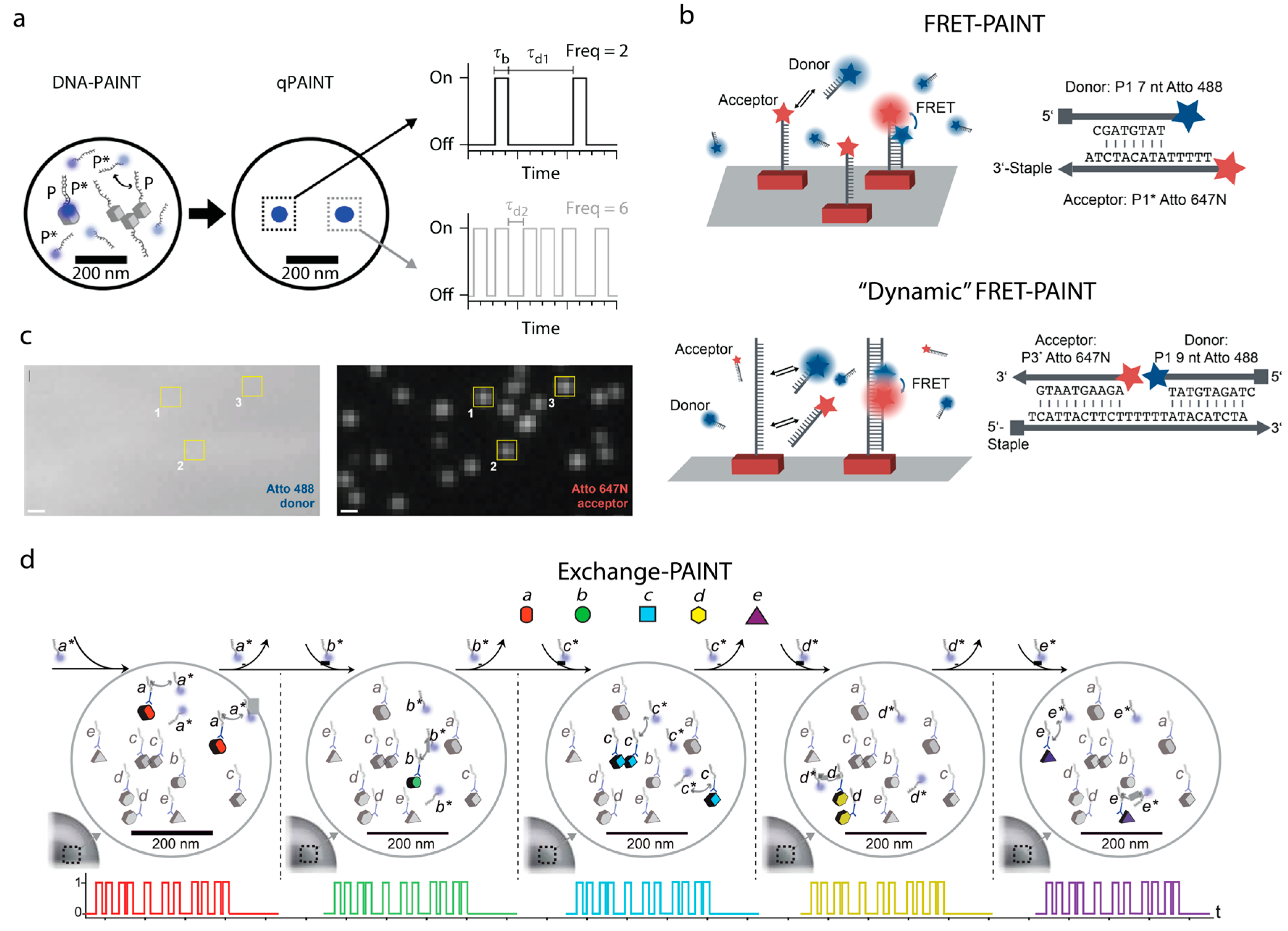 Genes 09 00621 g004