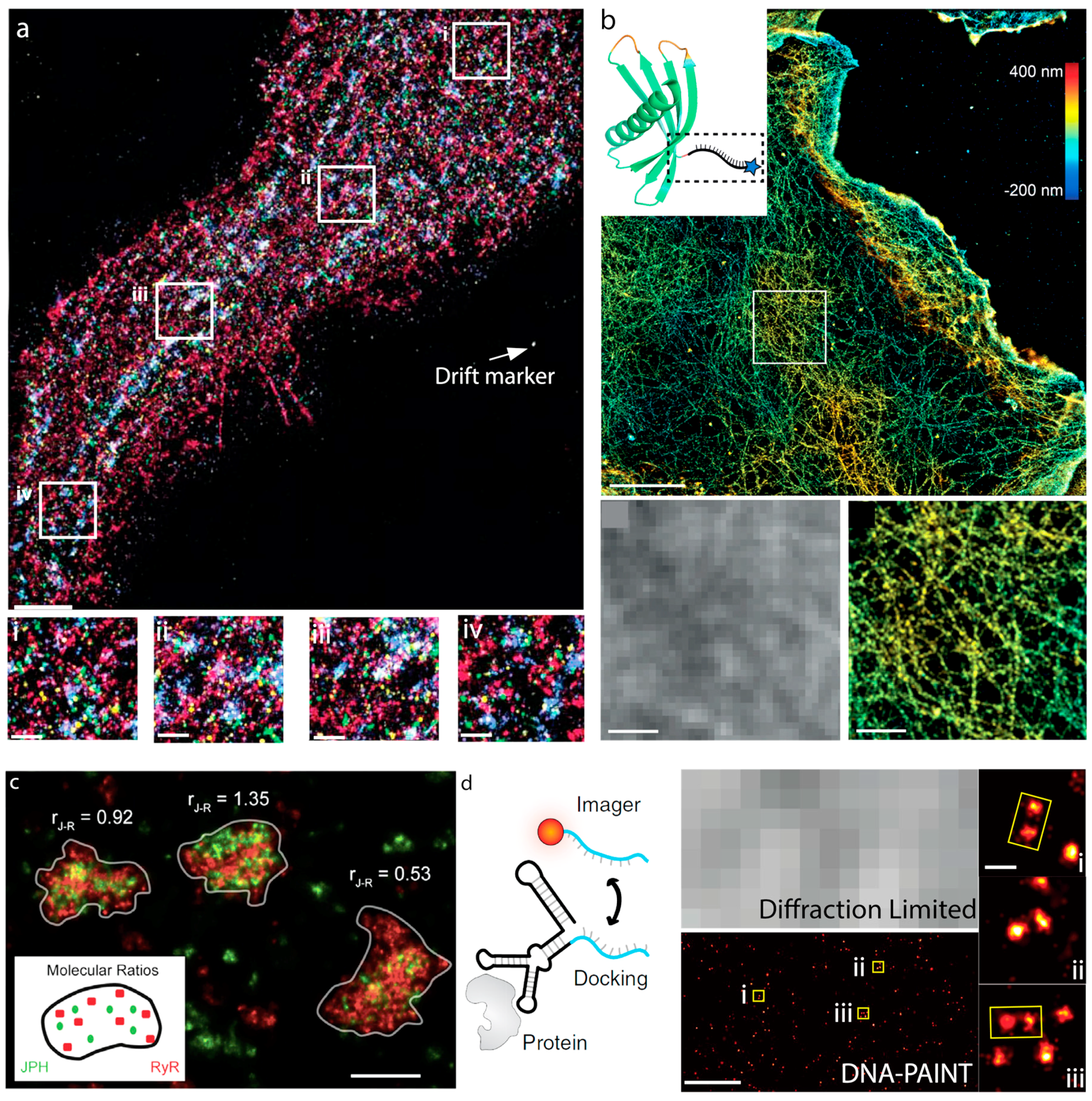 Genes 09 00621 g005