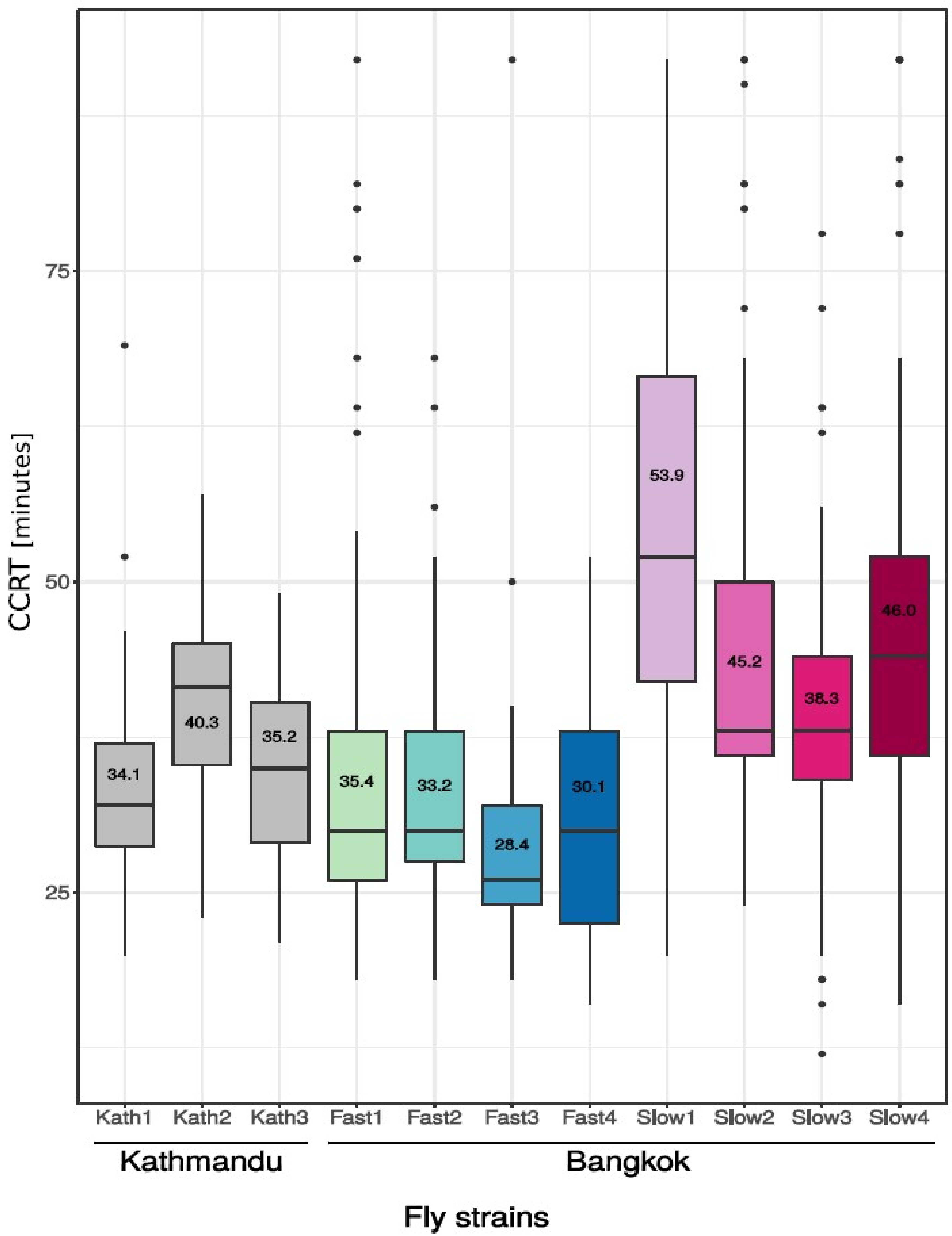 Genes 09 00624 g001