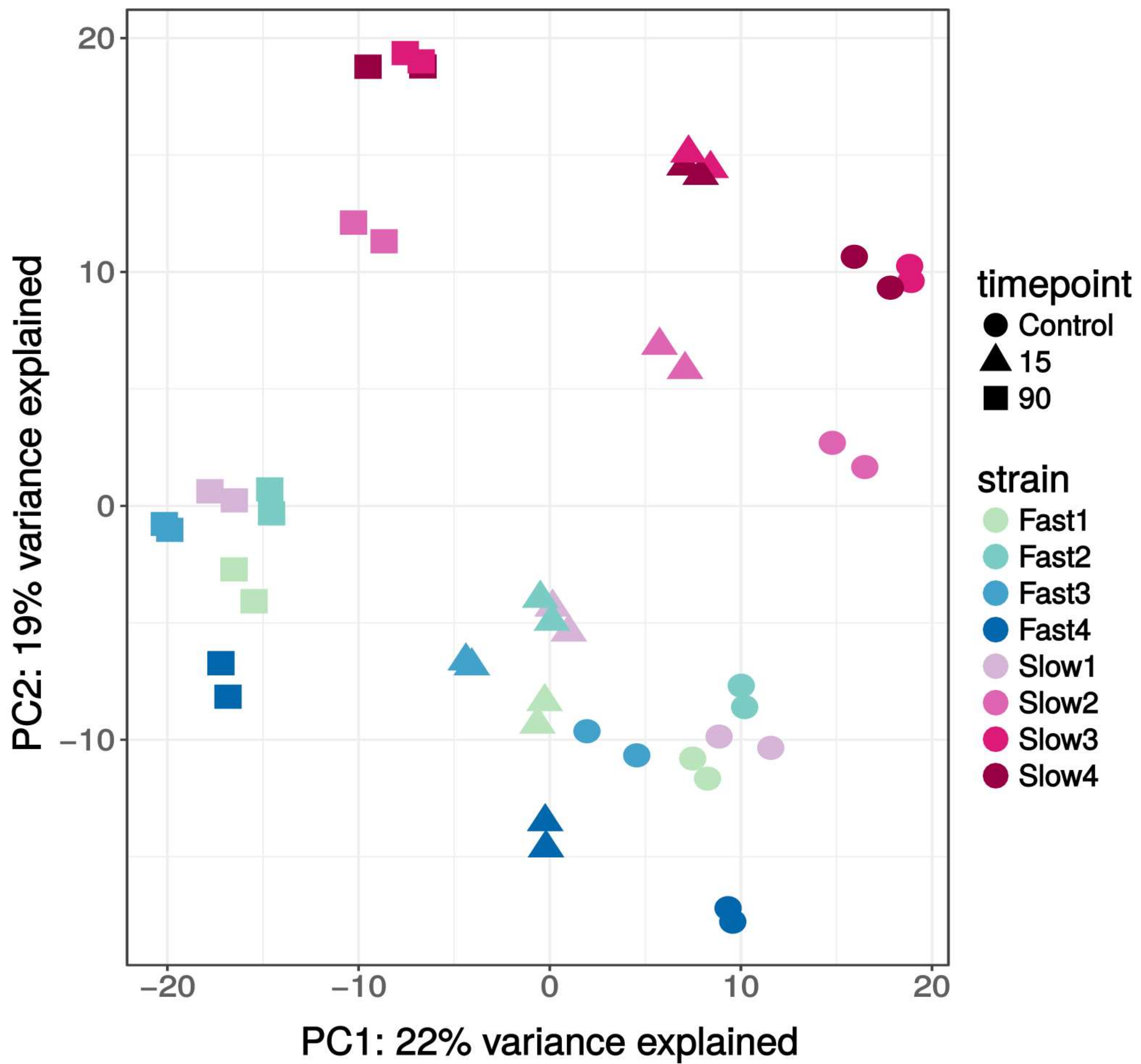 Genes 09 00624 g002