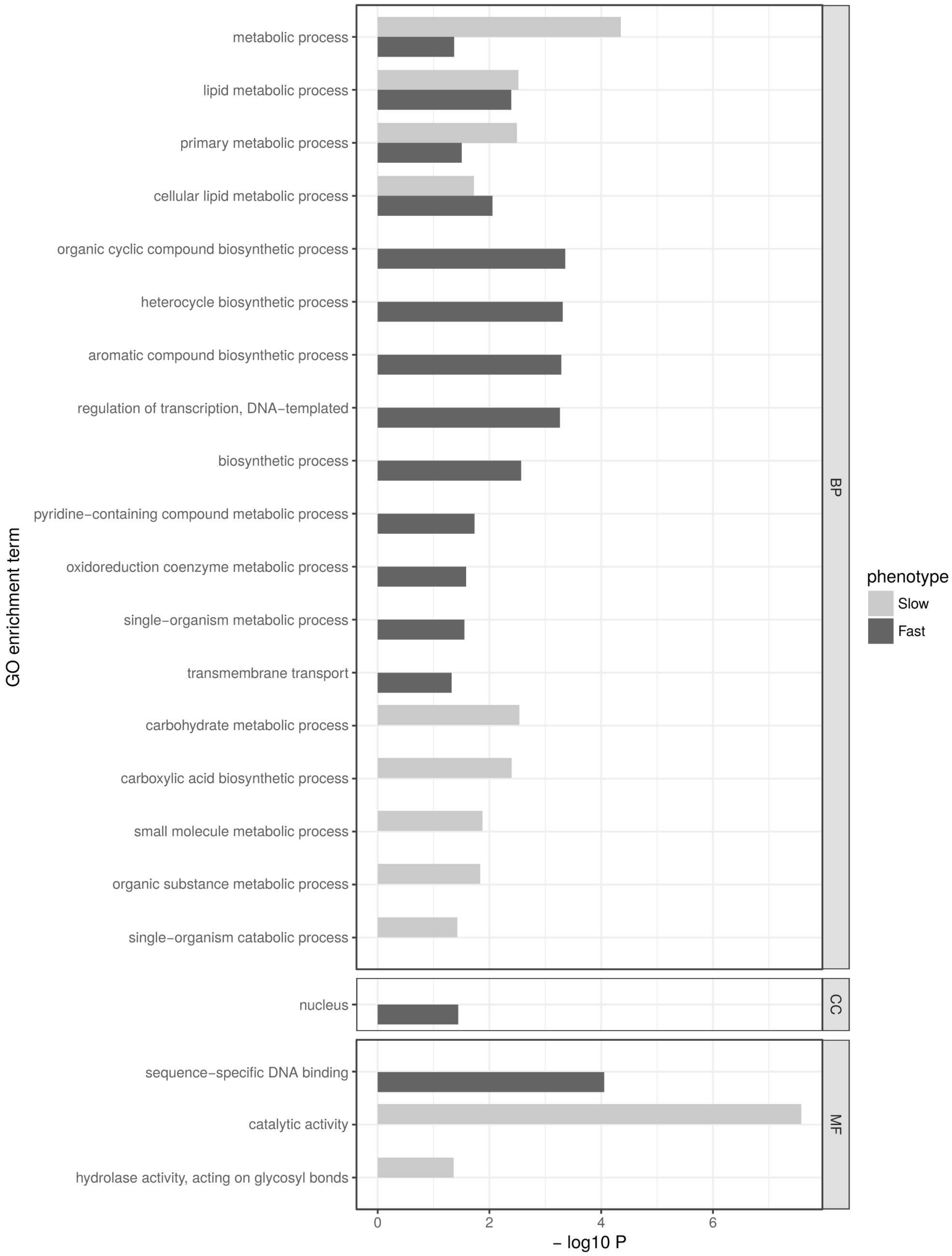 Genes 09 00624 g004