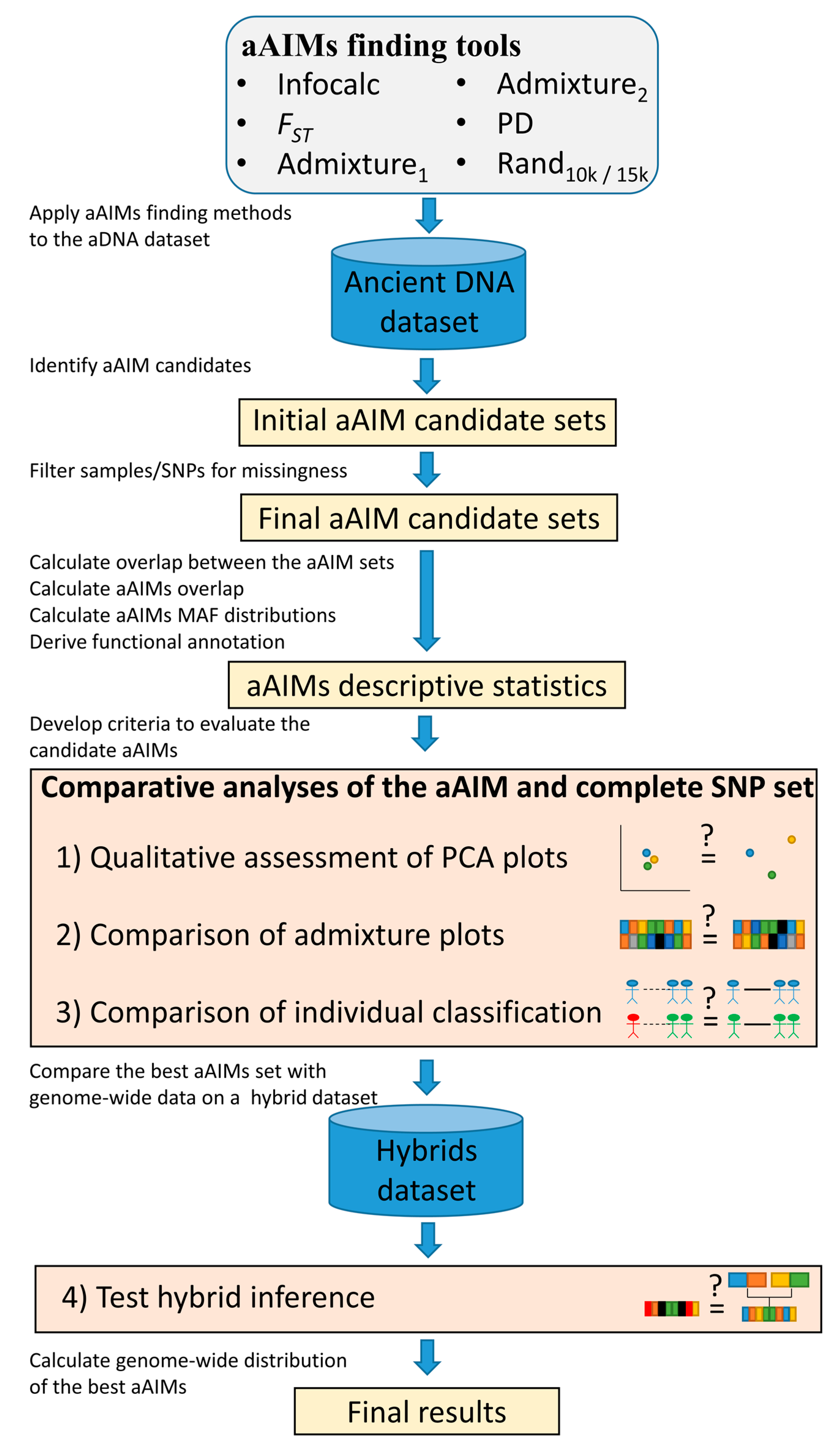 Genes 09 00625 g002