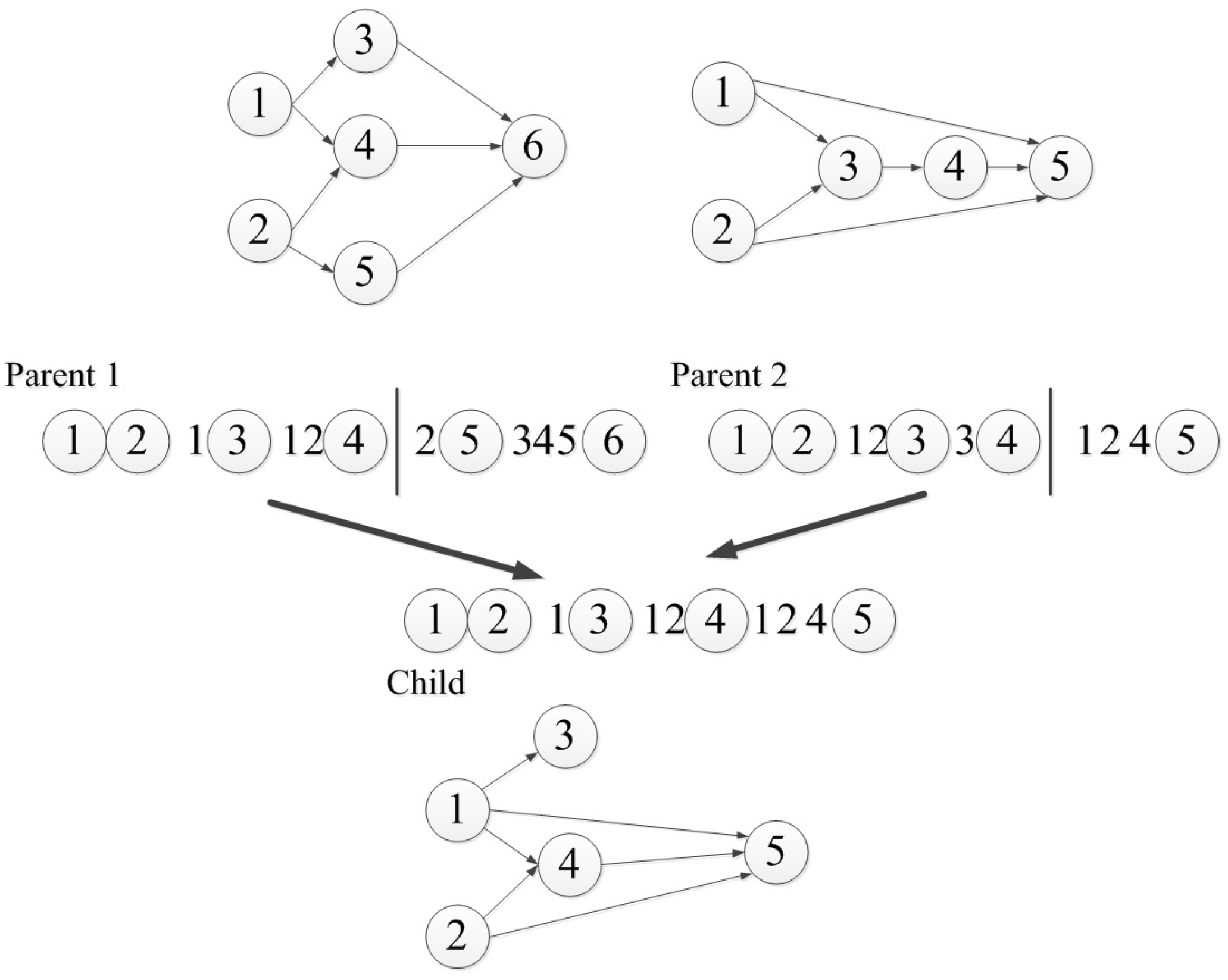 Genes 09 00626 g002