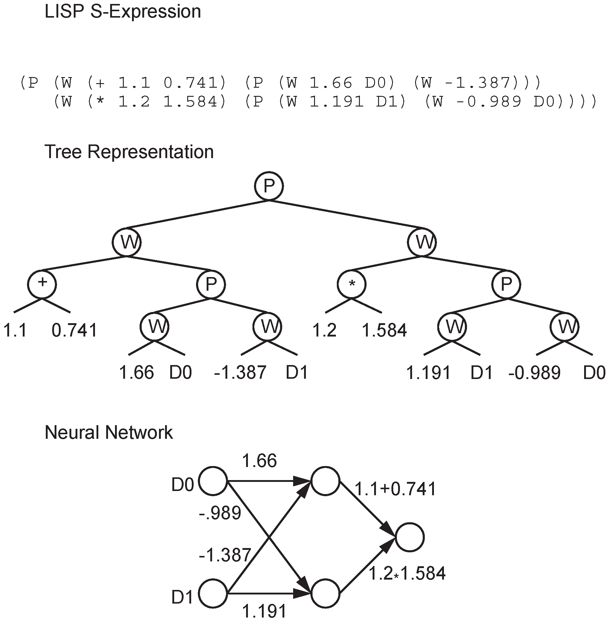 Genes 09 00626 g003