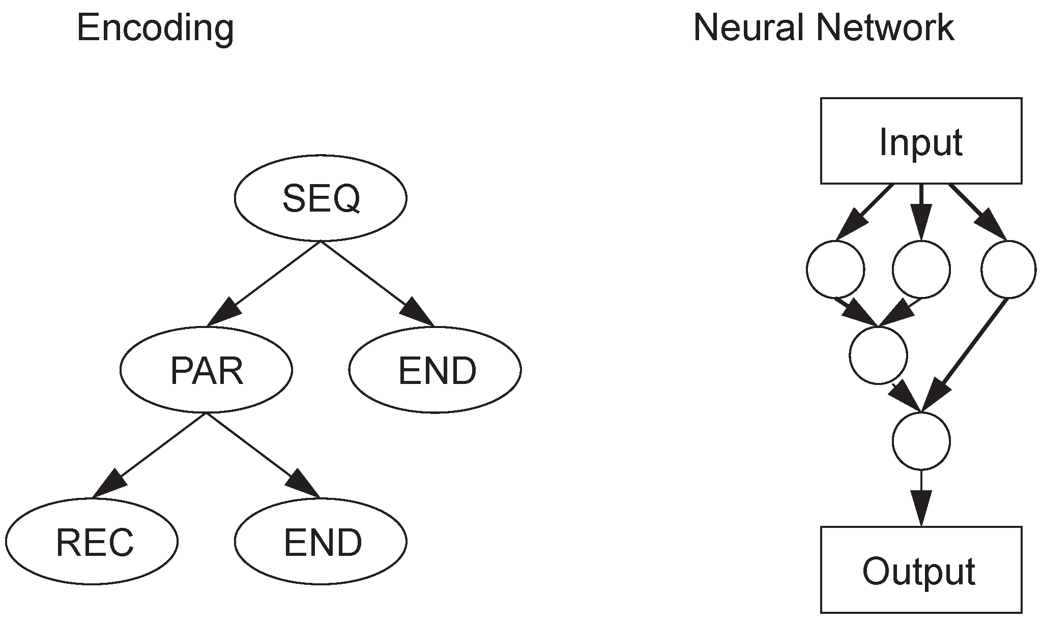 Genes 09 00626 g006