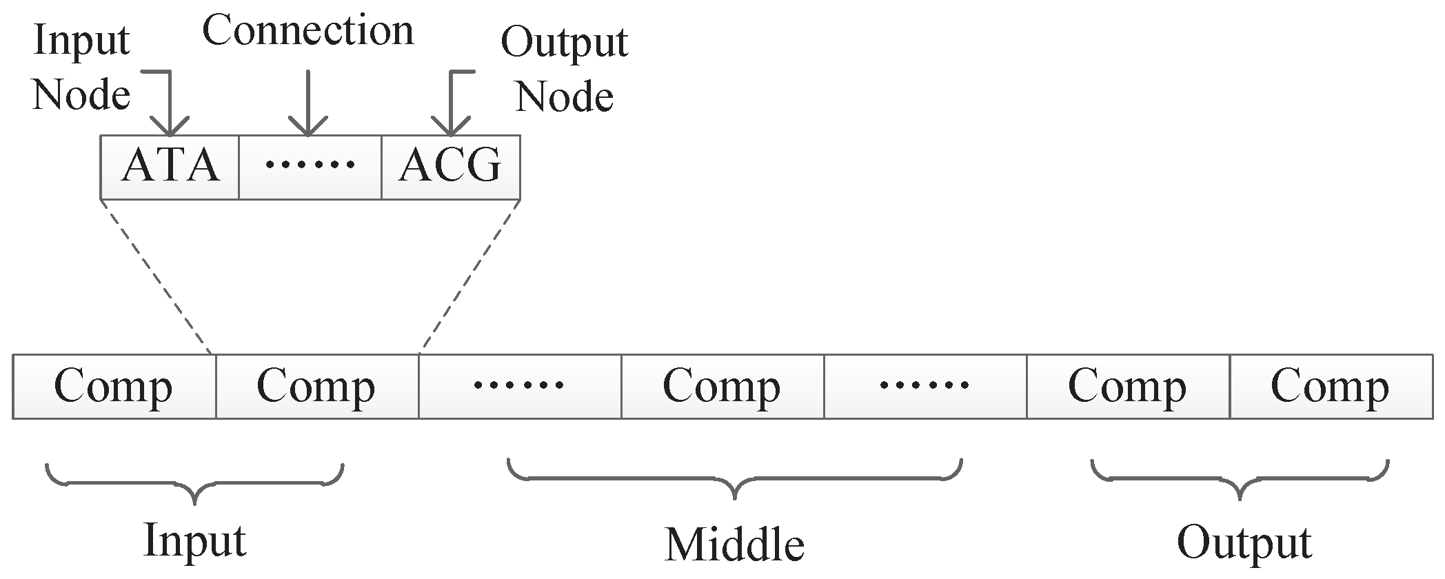 Genes 09 00626 g008