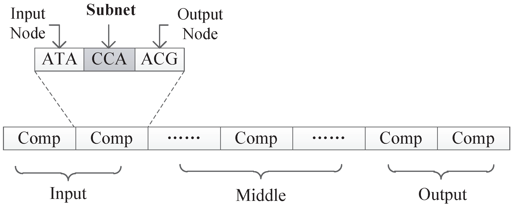 Genes 09 00626 g011