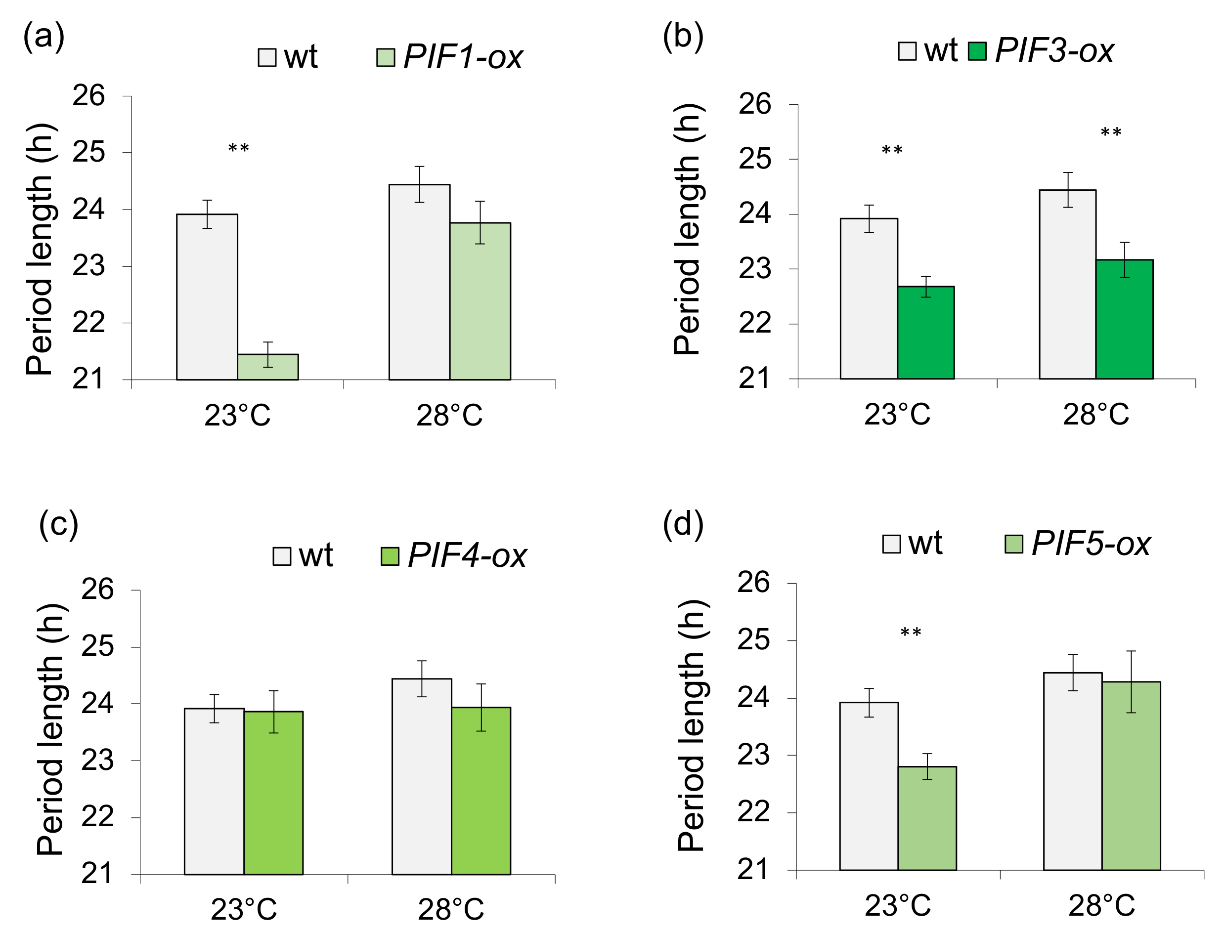 Genes 09 00628 g005