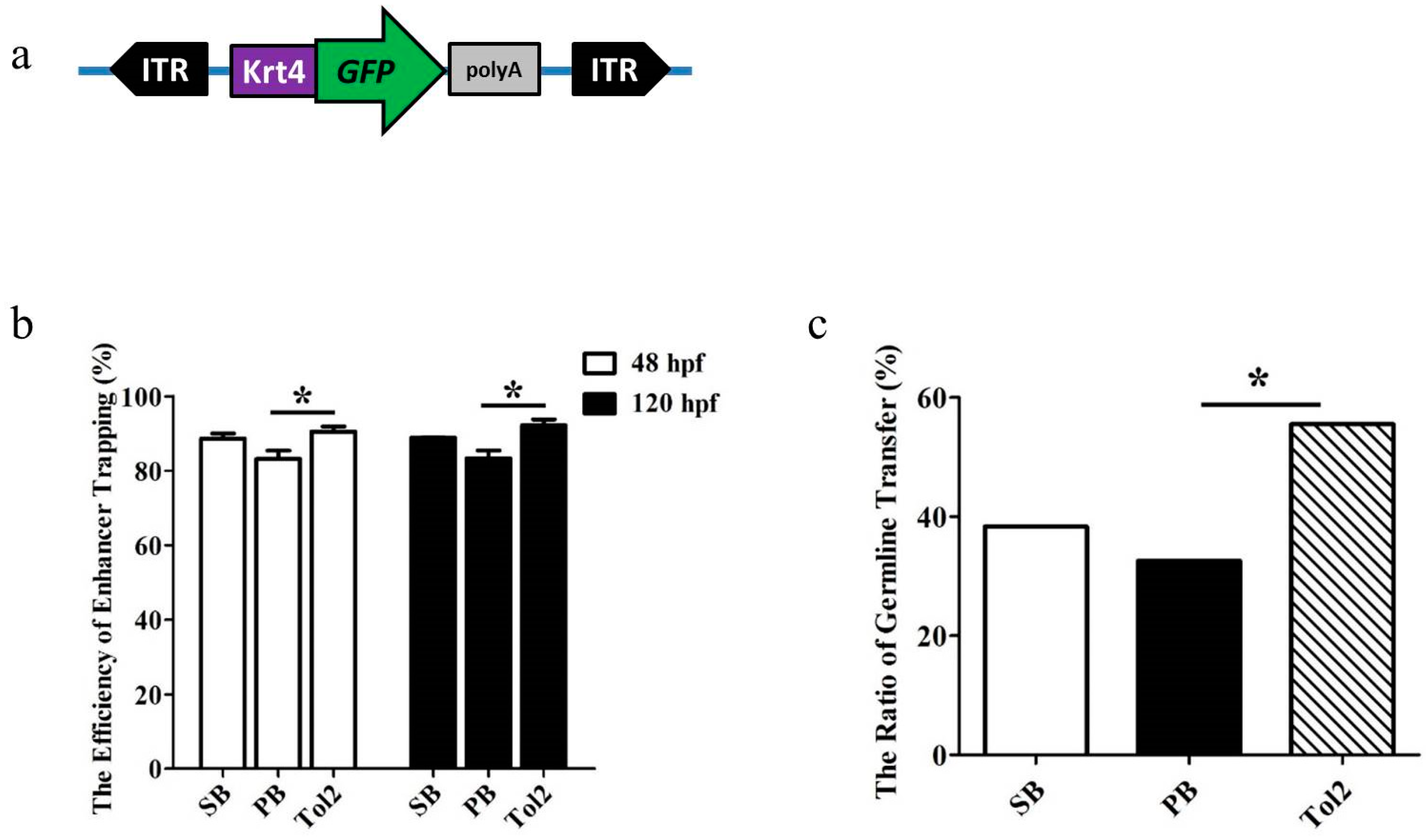 Genes 09 00630 g001