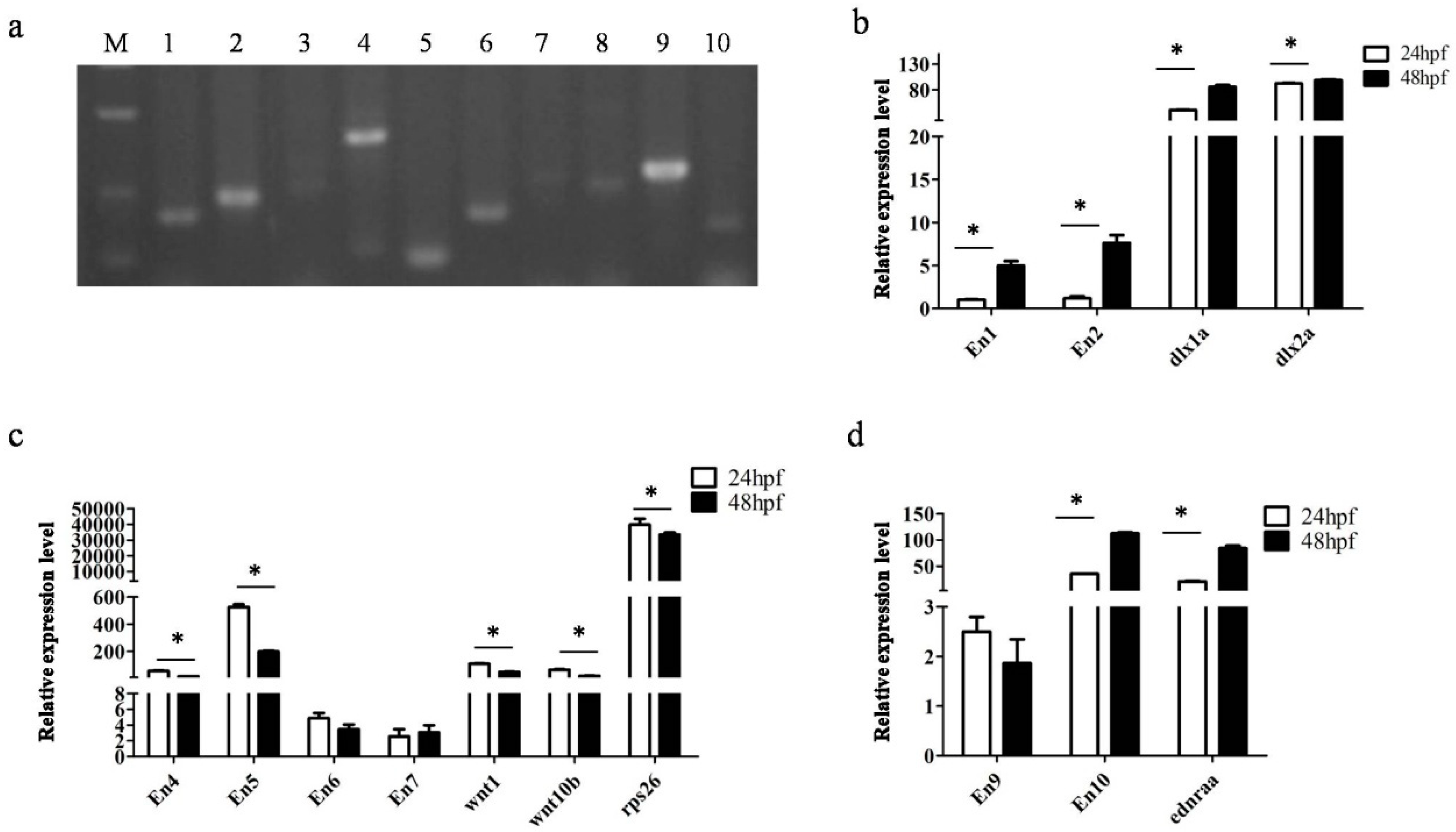 Genes 09 00630 g007