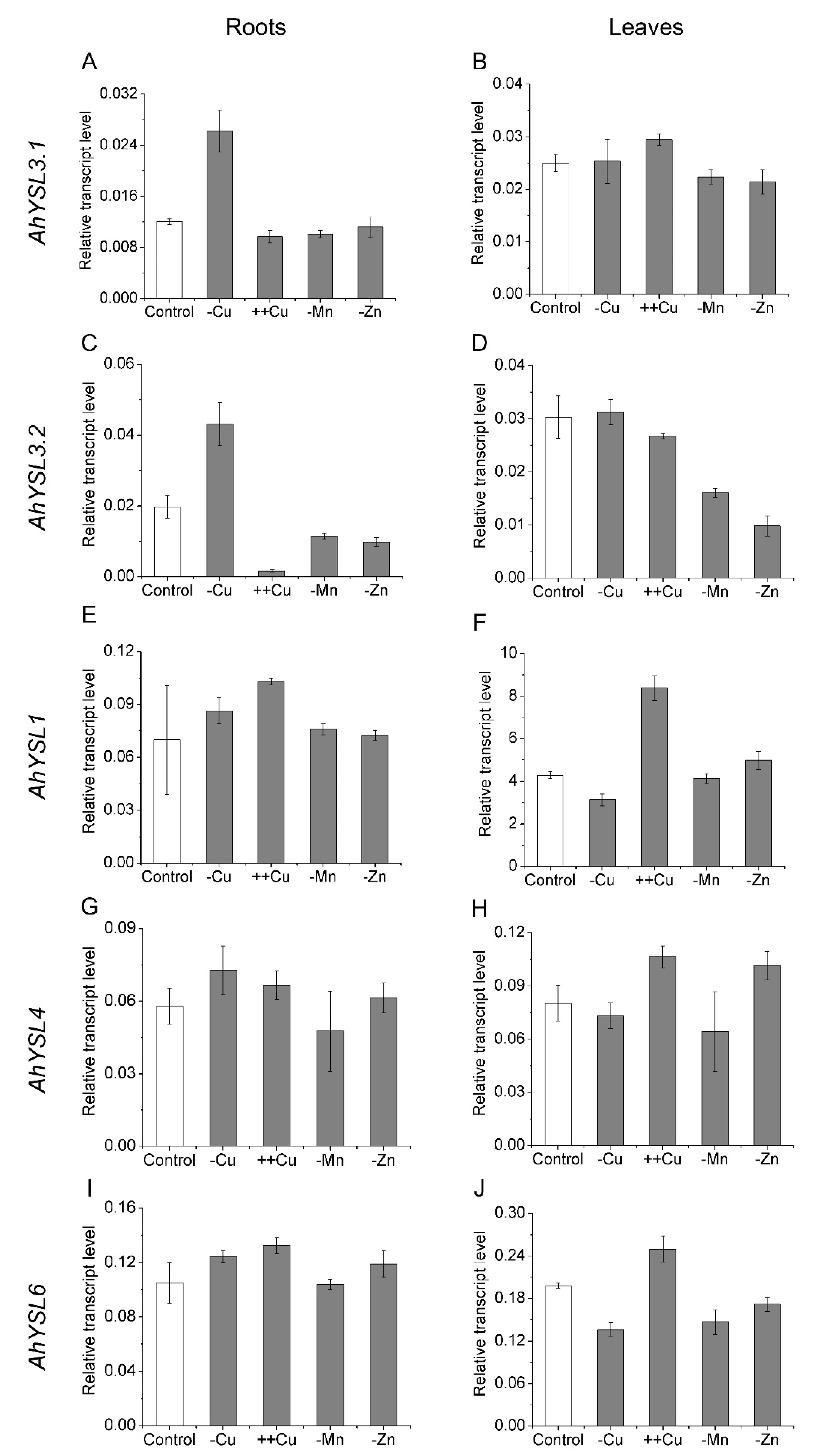 Genes 09 00635 g001