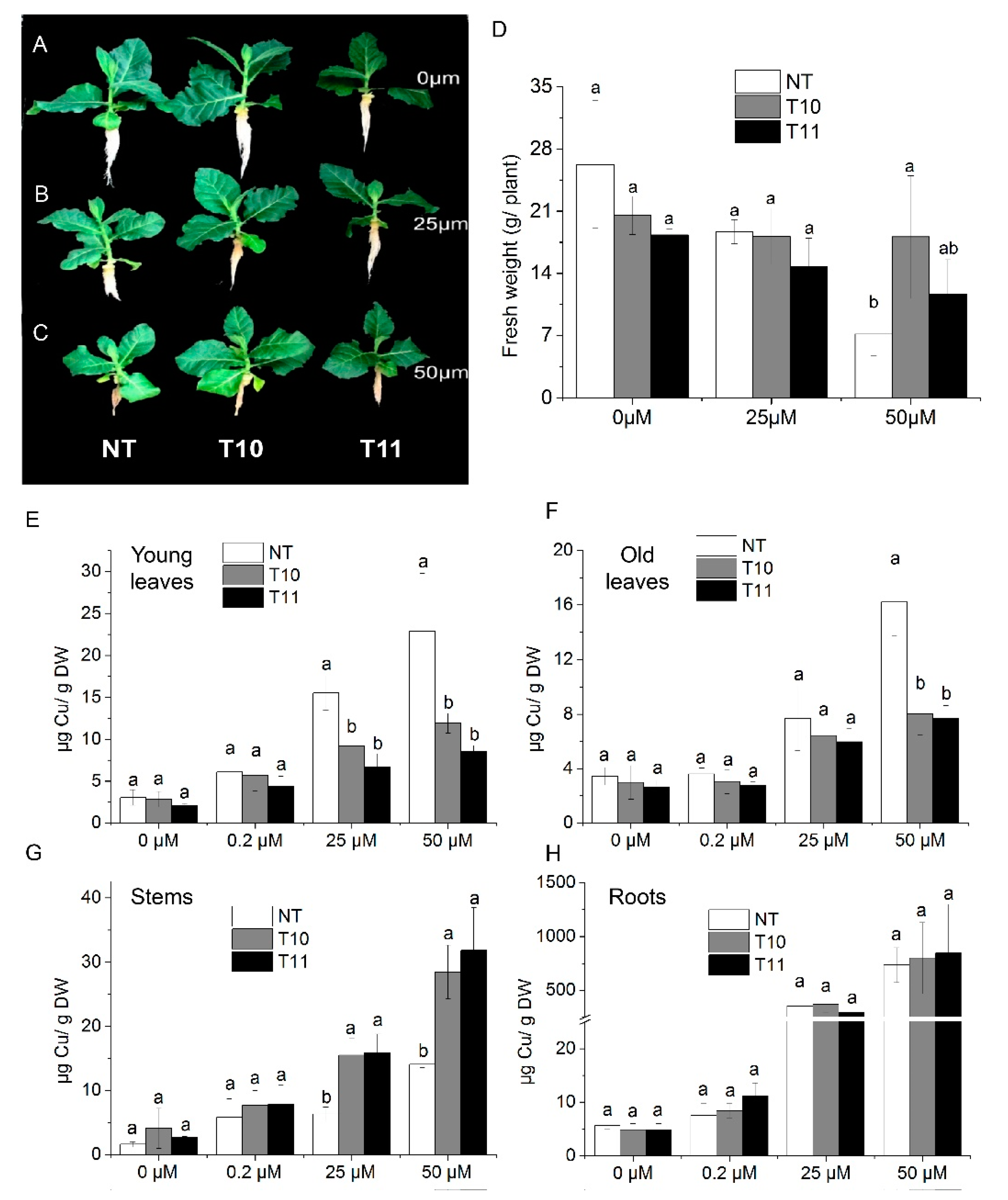 Genes 09 00635 g005