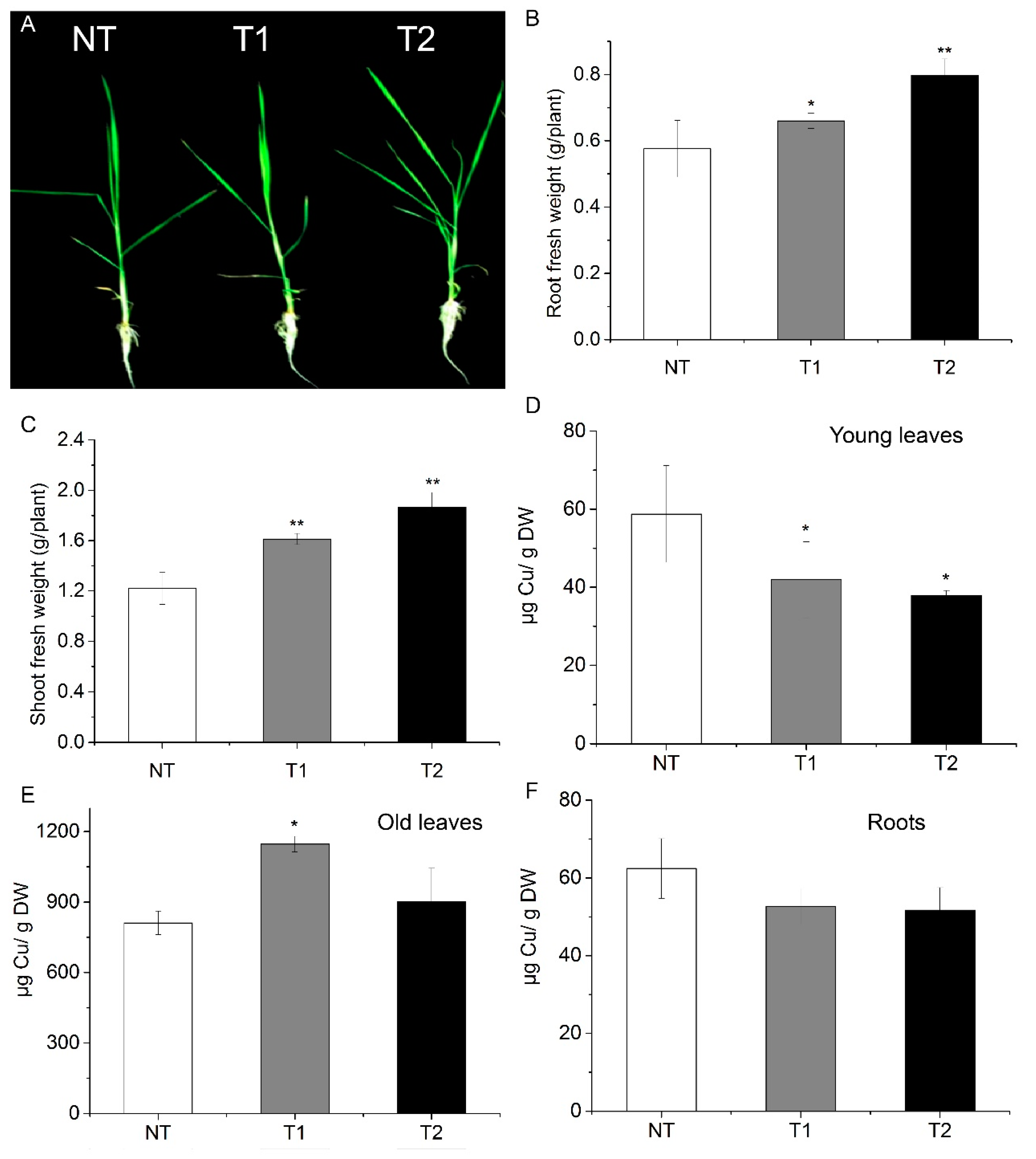 Genes 09 00635 g006