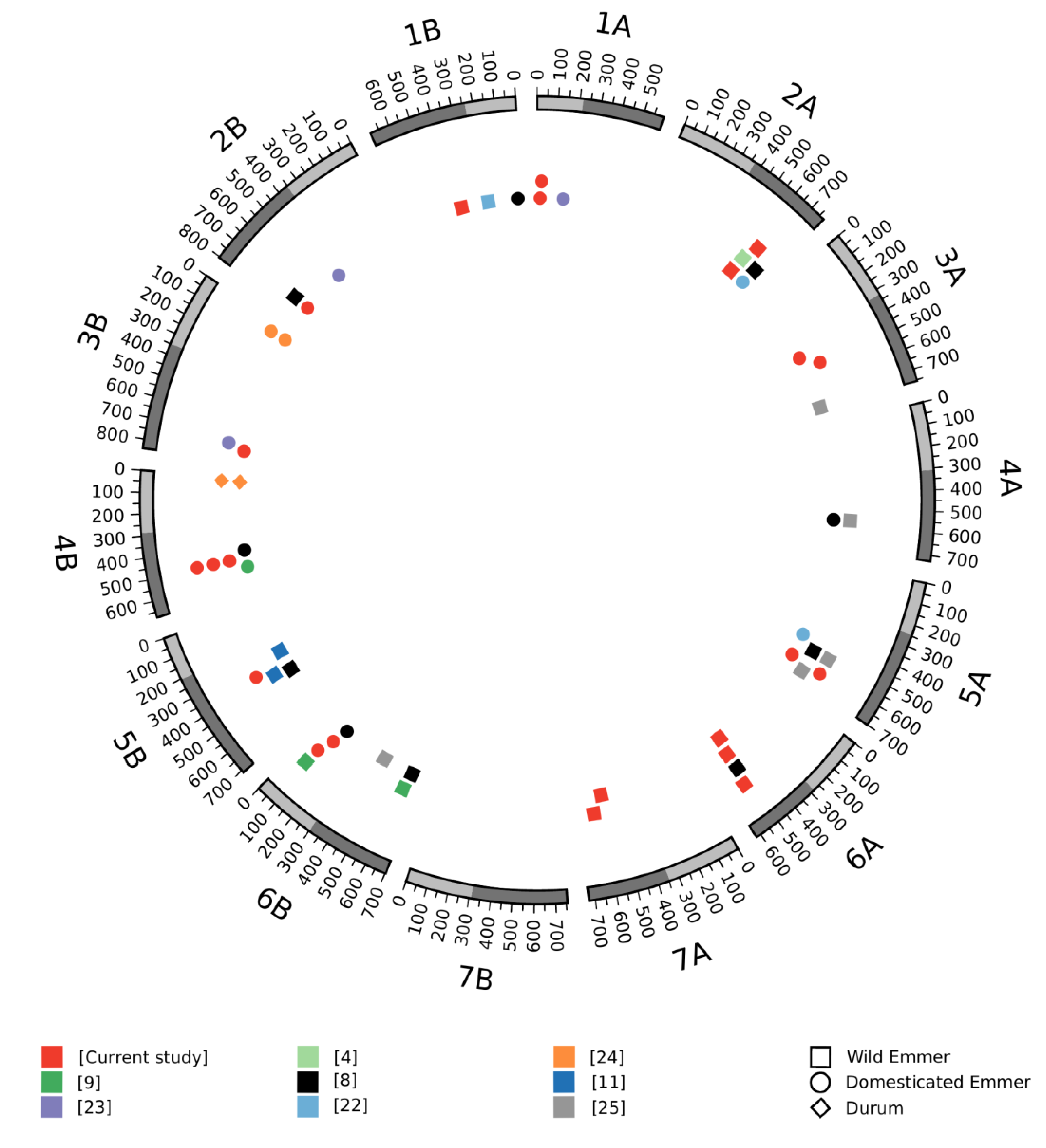 Genes 09 00636 g001