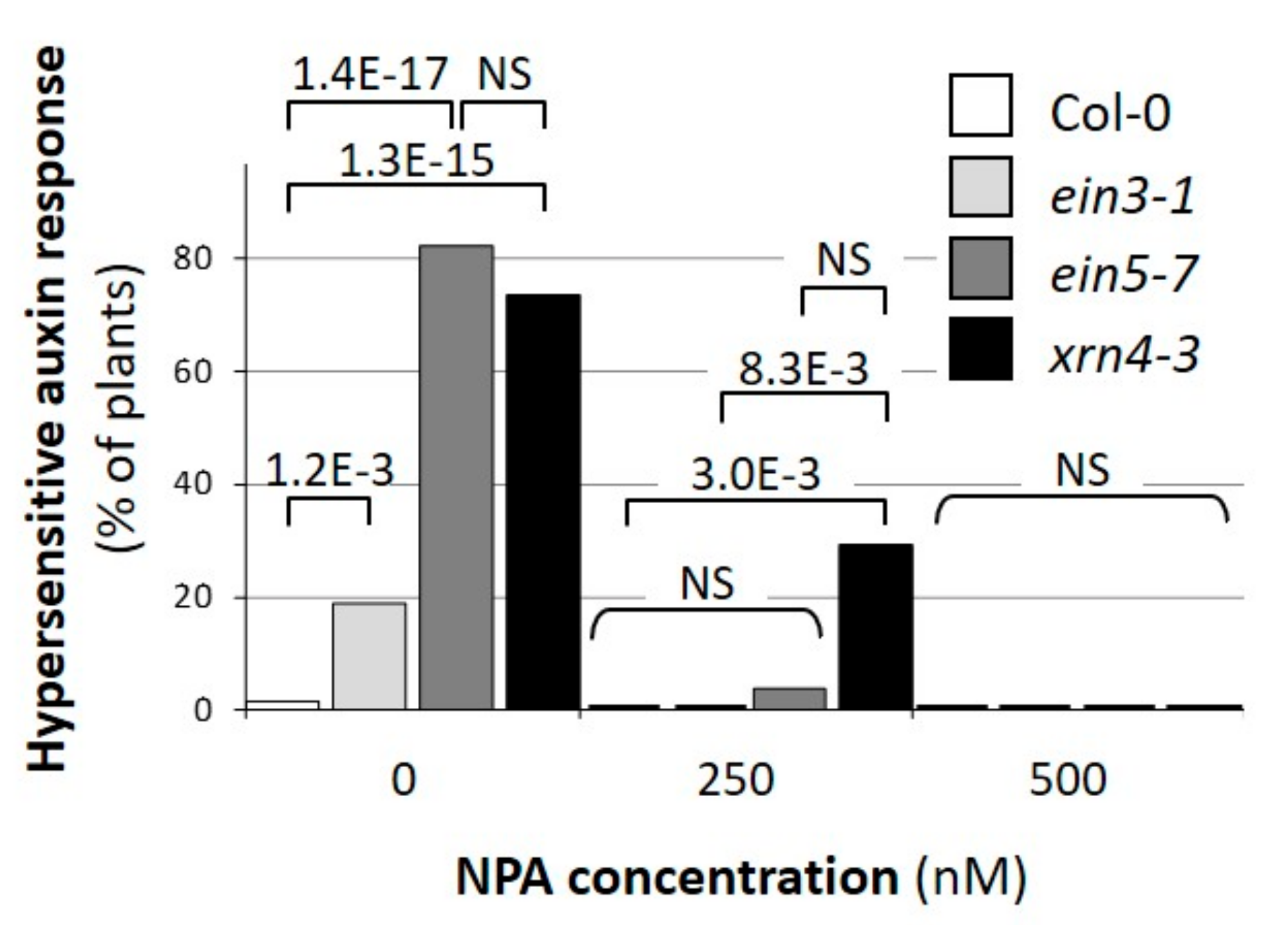 Genes 09 00638 g002