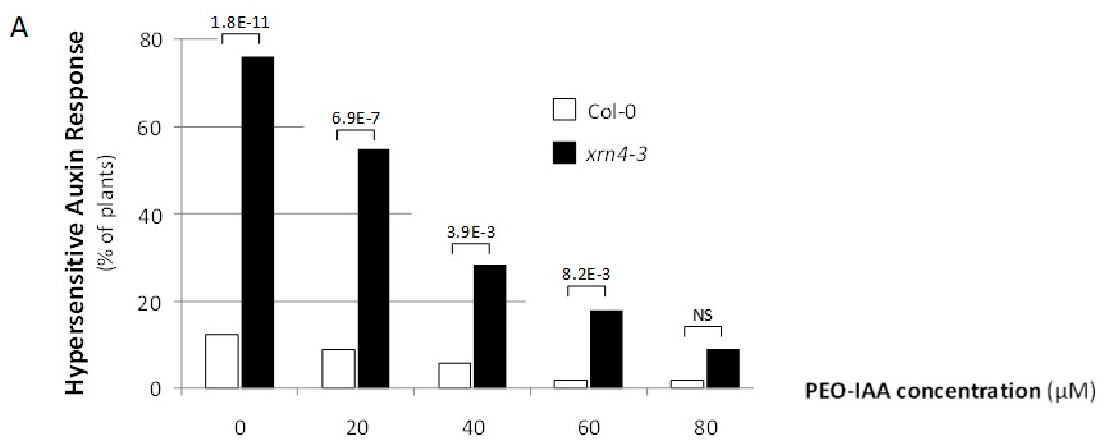 Genes 09 00638 g003a