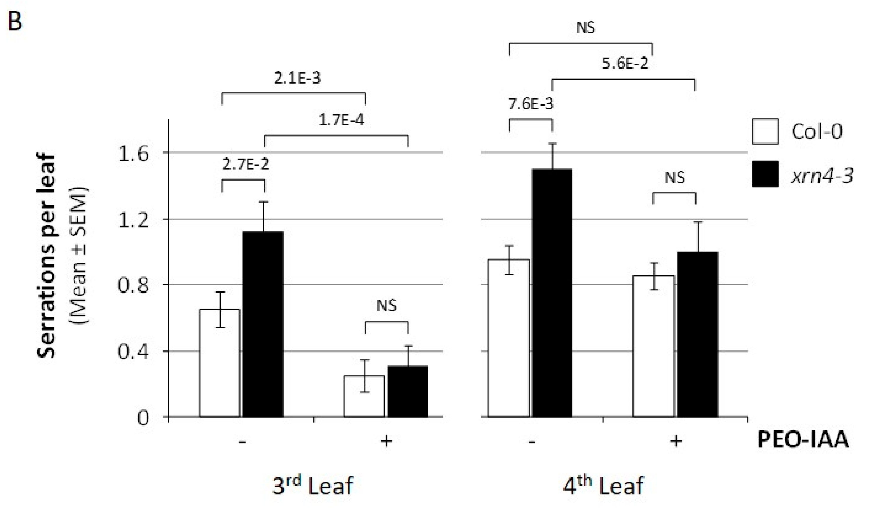 Genes 09 00638 g003b