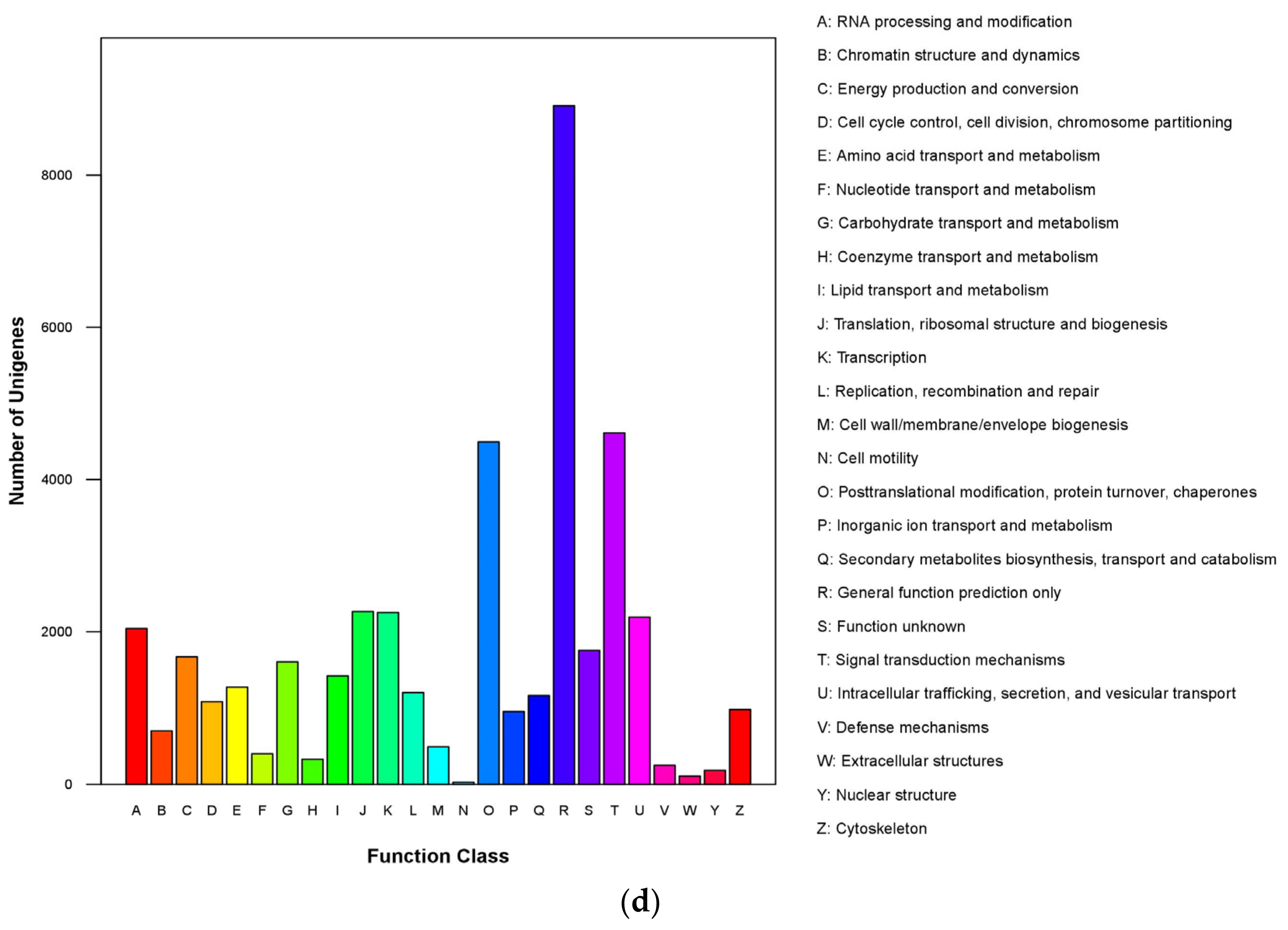 Genes 09 00639 g001b