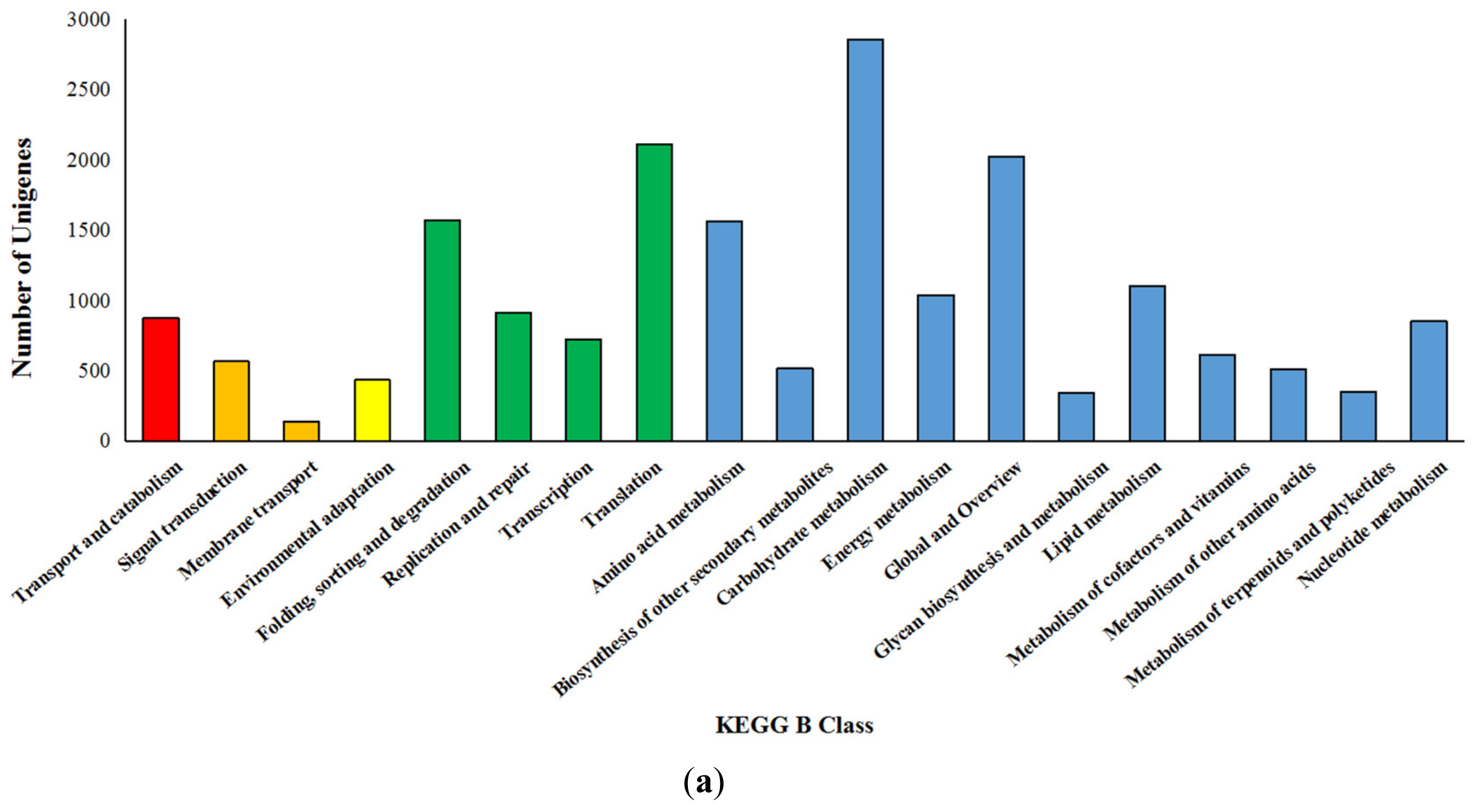 Genes 09 00639 g002a