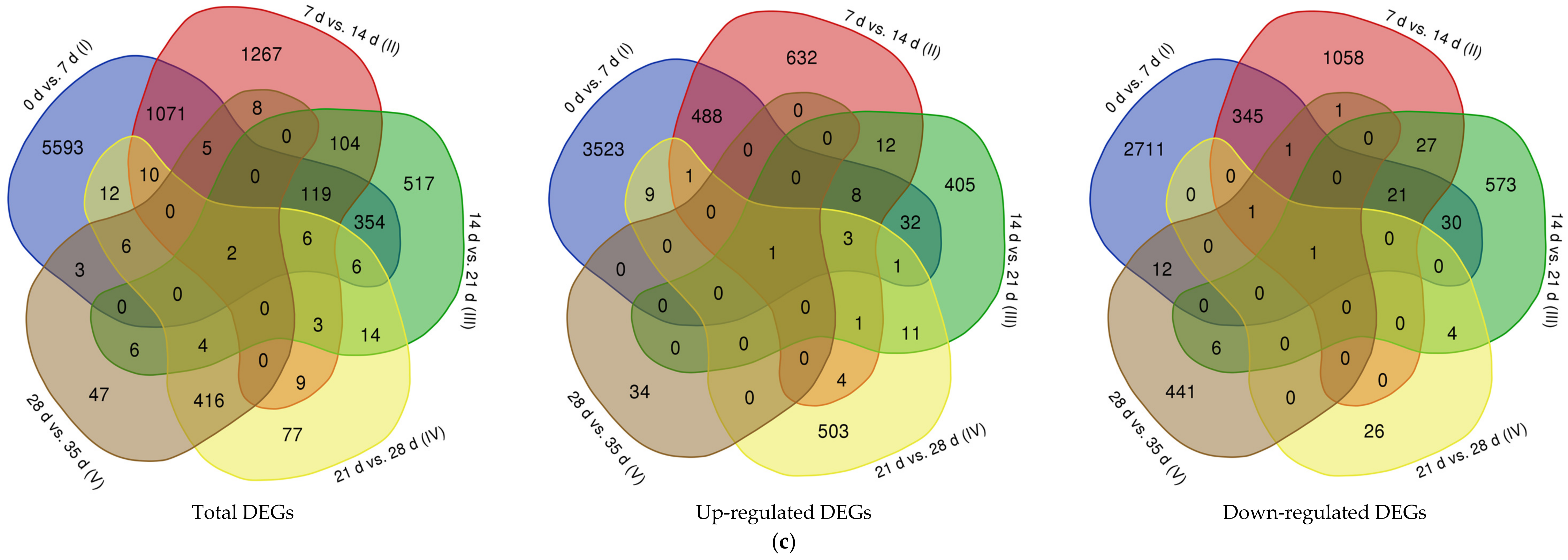 Genes 09 00639 g003b